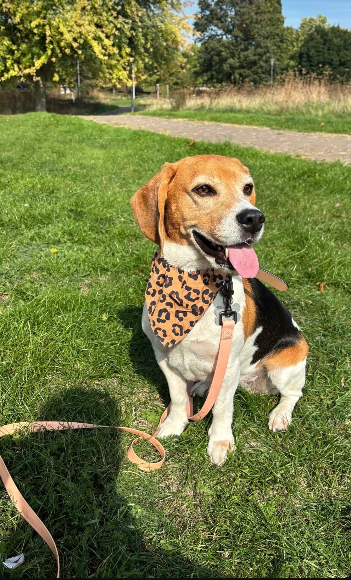 Bandana pour chien fait main – Léopard