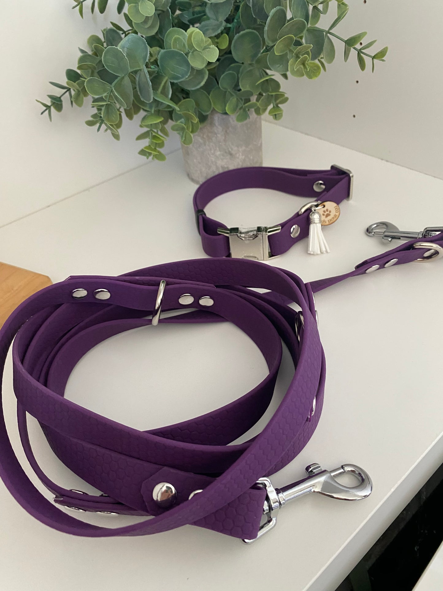 Collier imperméable en hexa réglable avec ou sans laisse violet