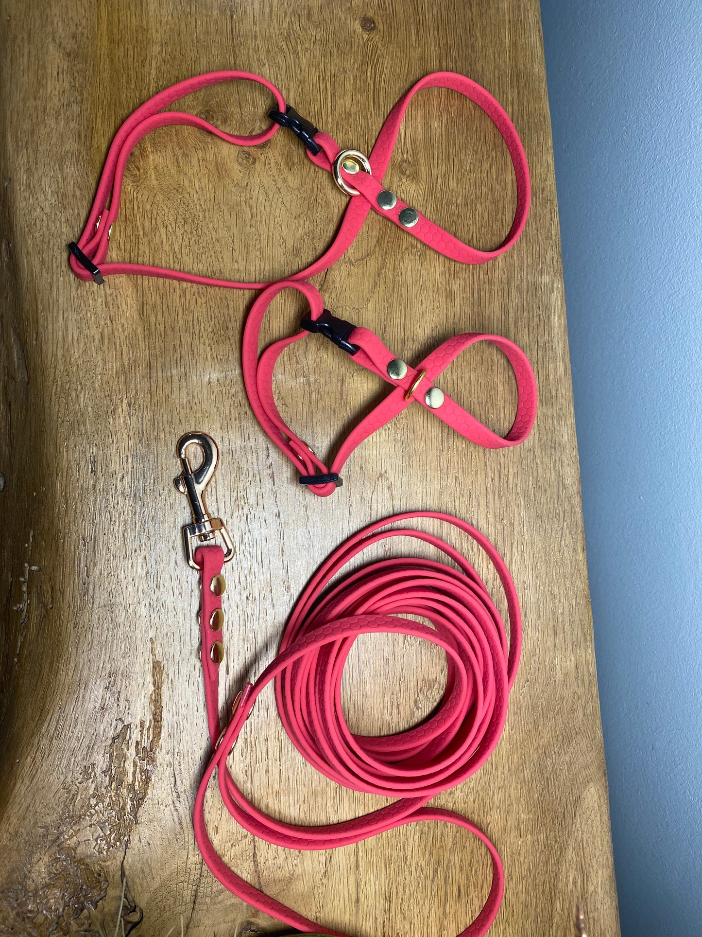 Harnais en Sangle Hexa Colorée pour chat et chien - Forme Infini en 8 - rose magenta