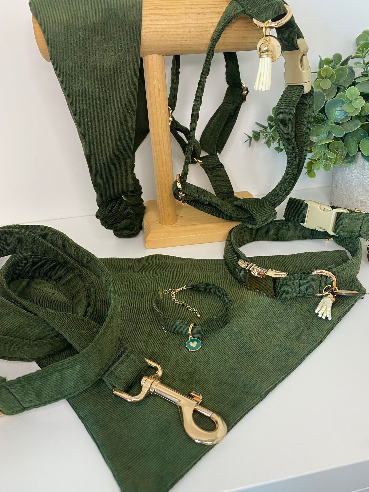 Laisse velours vert anglais