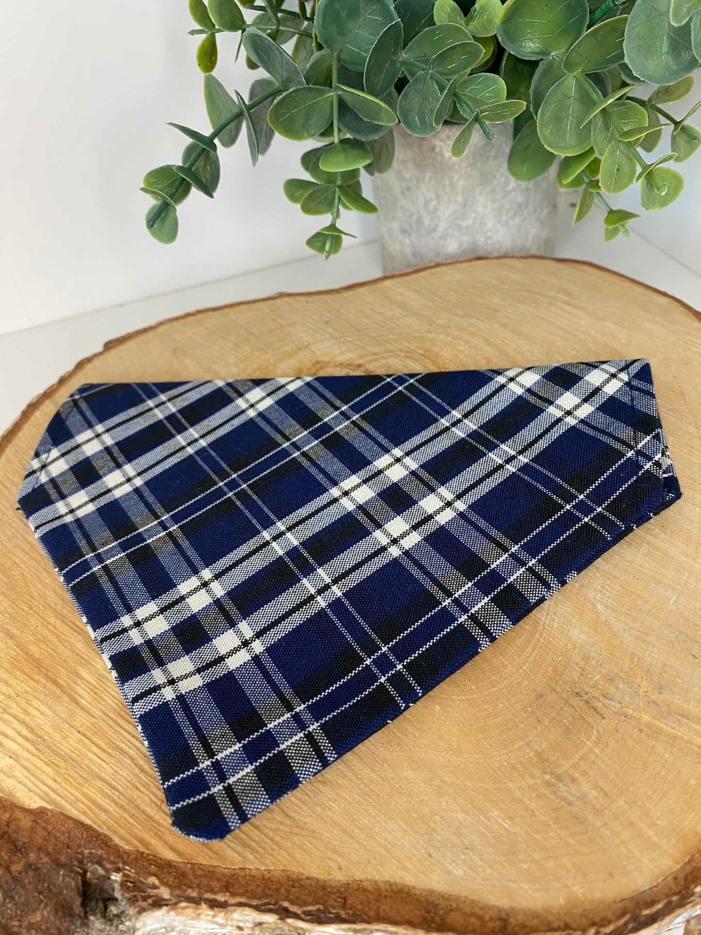 Bandeau assorti – Matchy Matchy humain & chien ou chat ecossais bleu
