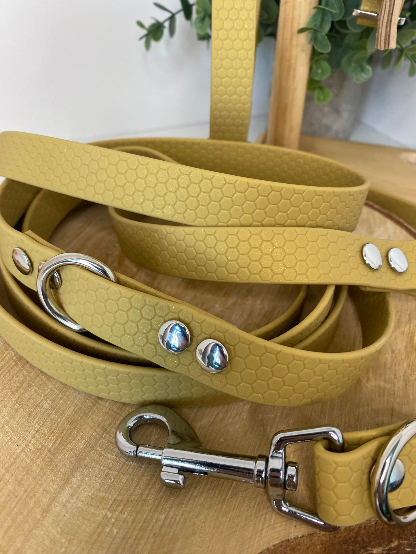 Collier imperméable en hexa doré avec ou dans laisse
