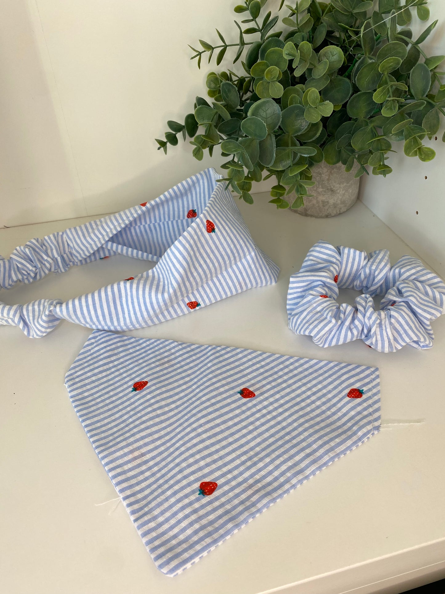 Chouchou assorti – Matchy Matchy humain & chien ou chat collection petites fraises