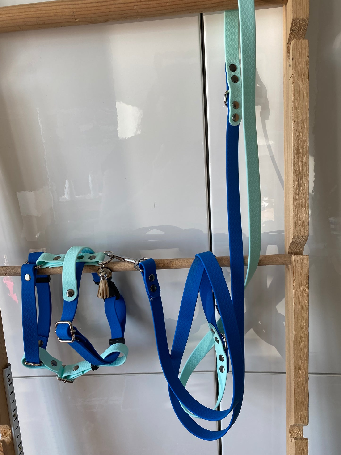 Laisse 3 positions bleu ciel - électrique