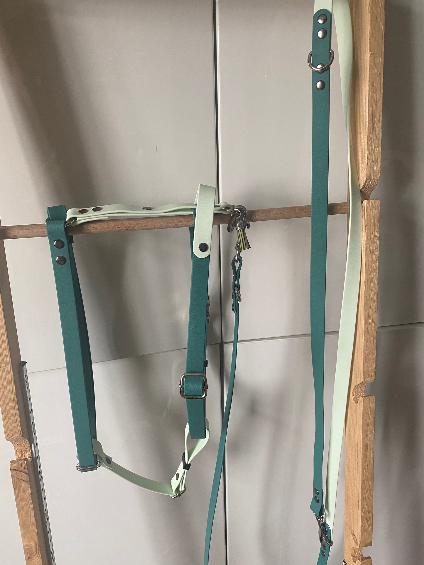 Harnais en H ajustable et imperméable pour chien - vert et vert clair