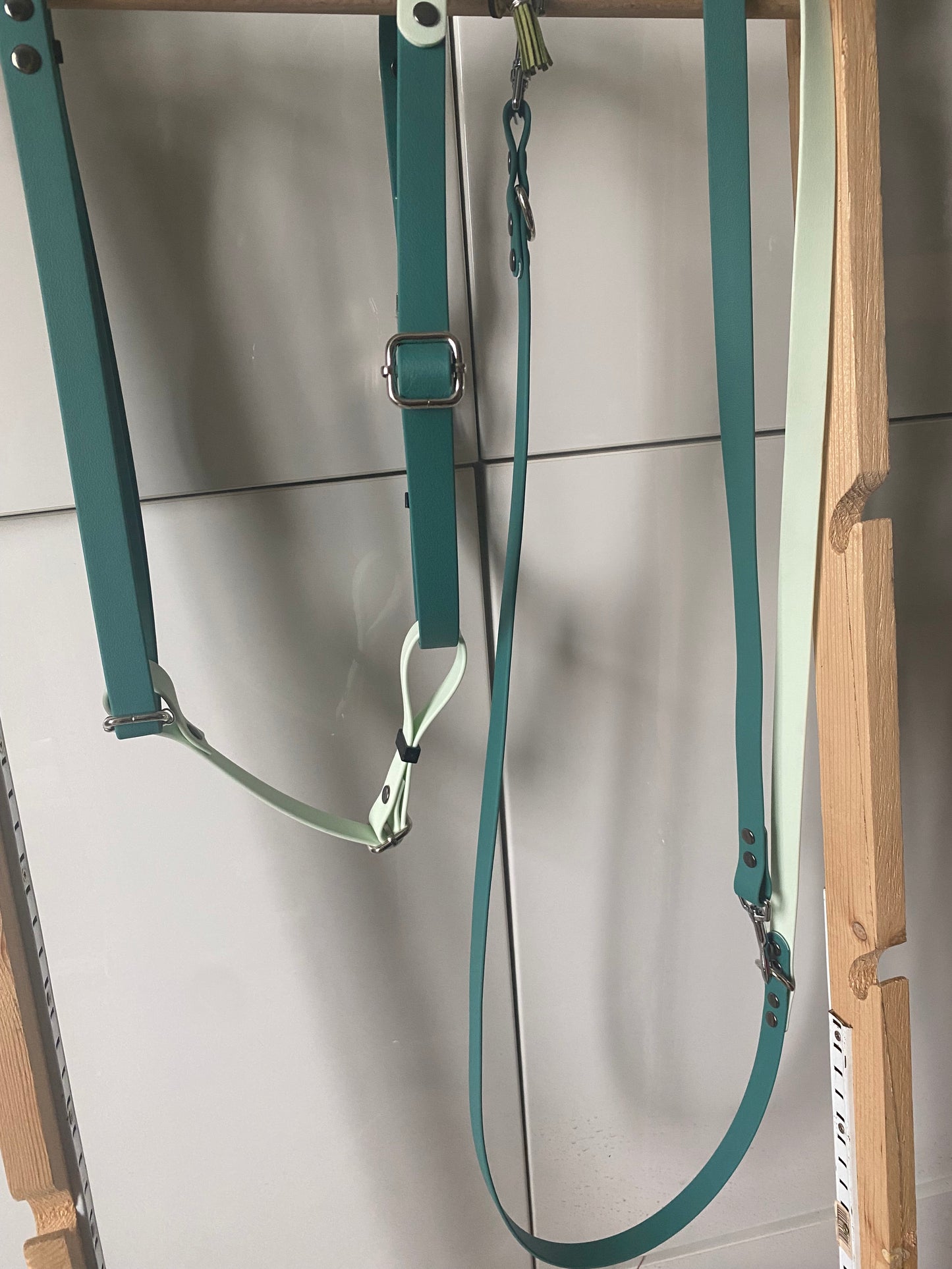 Harnais en H ajustable et imperméable pour chien - vert et vert clair