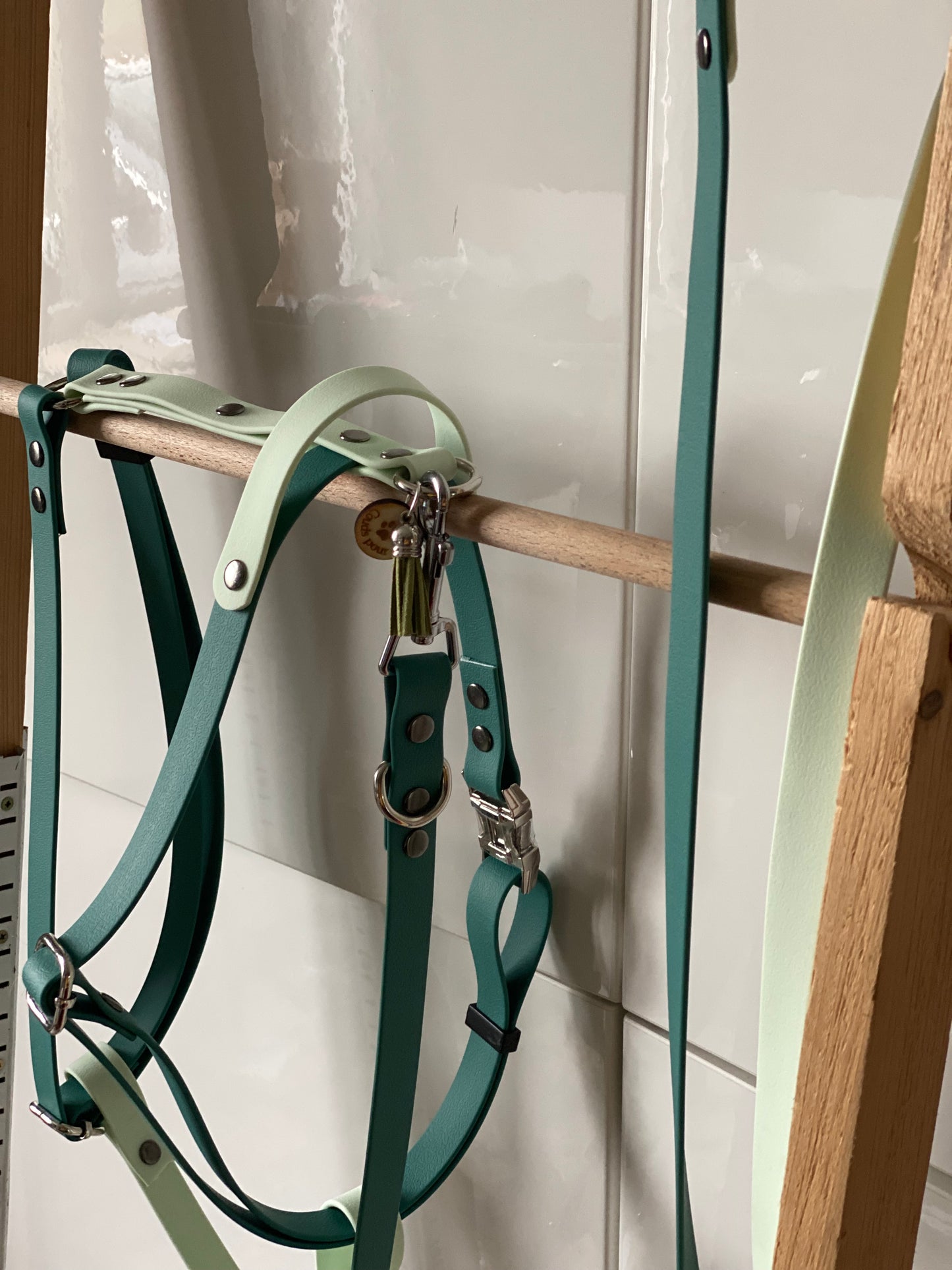 Harnais en H ajustable et imperméable pour chien - vert et vert clair