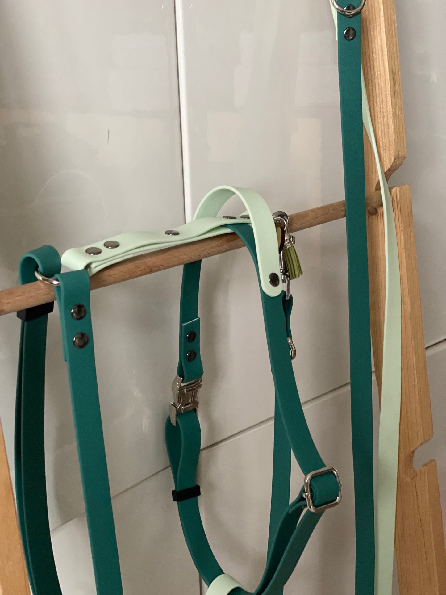 Harnais en H ajustable et imperméable pour chien - vert et vert clair