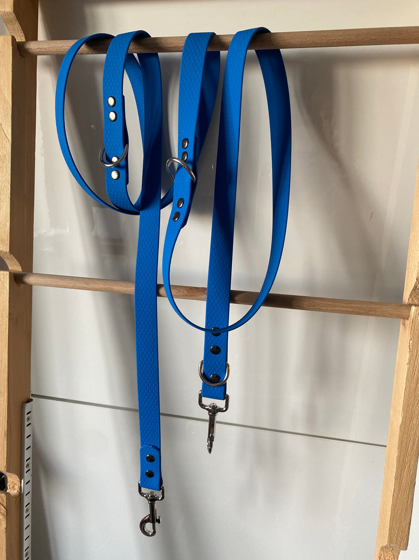 Laisse 3 positions bleu électrique