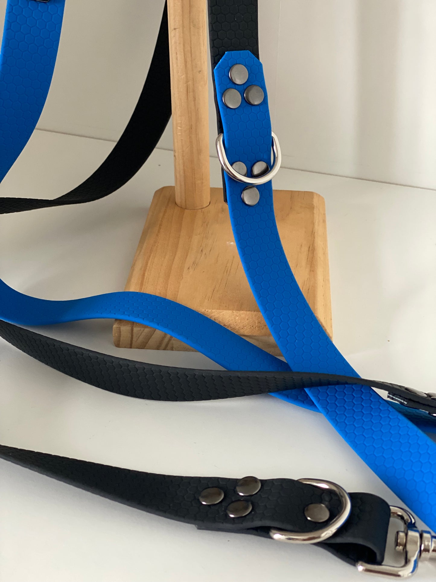 Laisse Mains Libres en Hexa Souple Noir - bleu électrique
