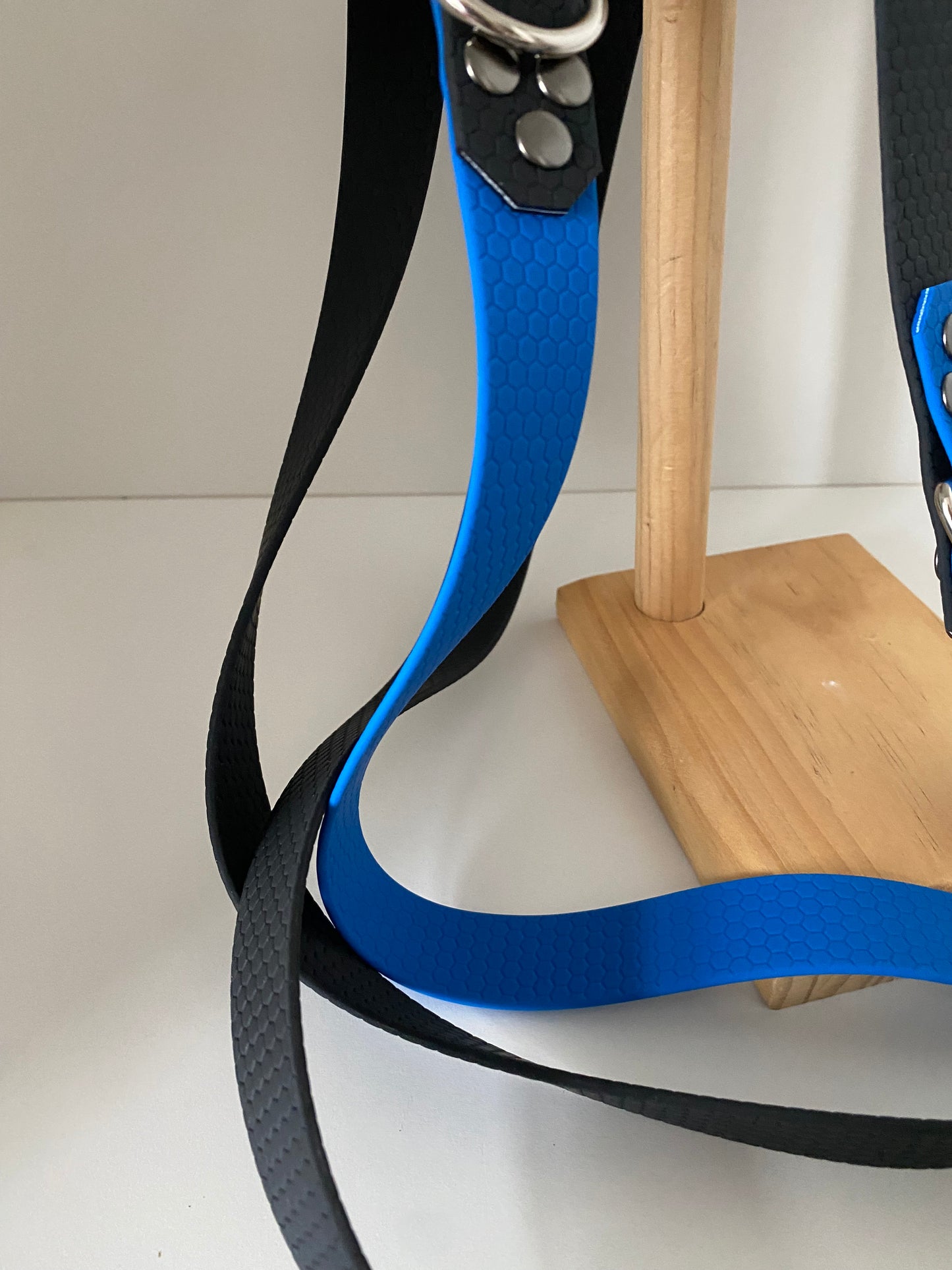 Laisse Mains Libres en Hexa Souple Noir - bleu électrique