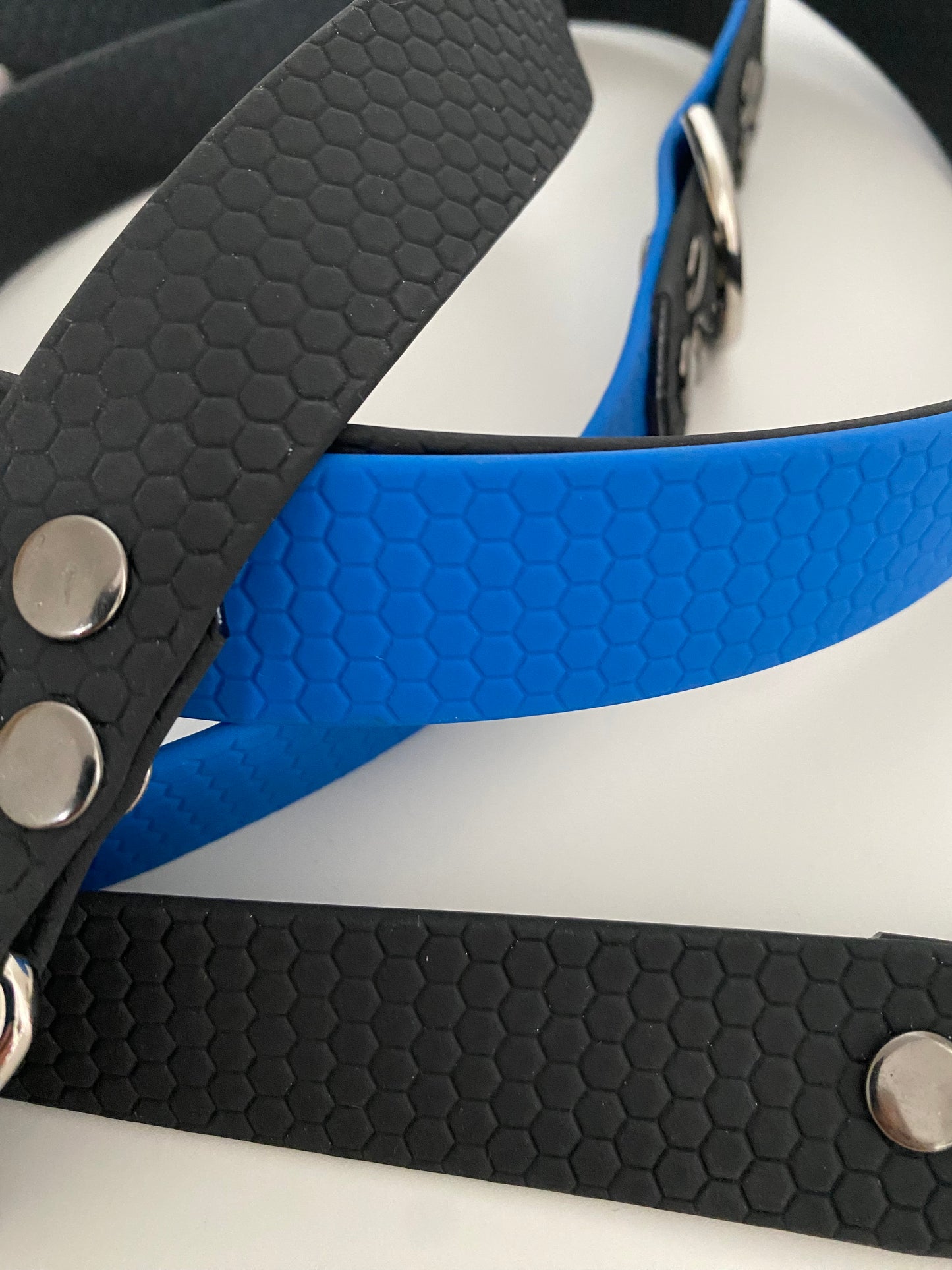 Laisse Mains Libres en Hexa Souple Noir - bleu électrique