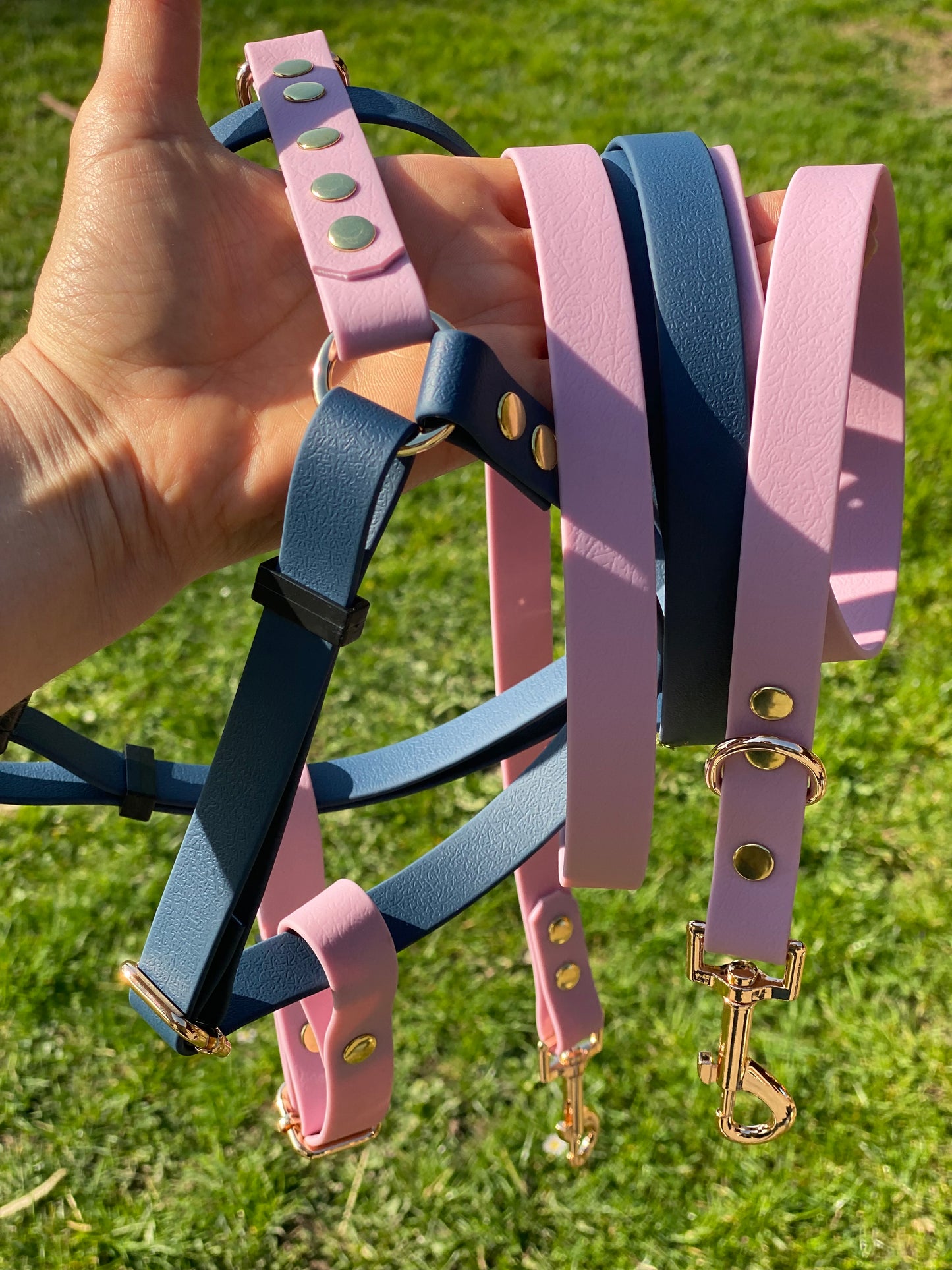 Harnais en H ajustable et imperméable pour chien - marine et parme