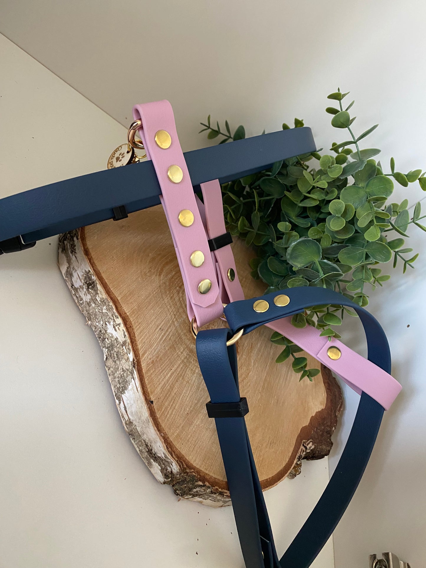 Harnais en H ajustable et imperméable pour chien - marine et parme