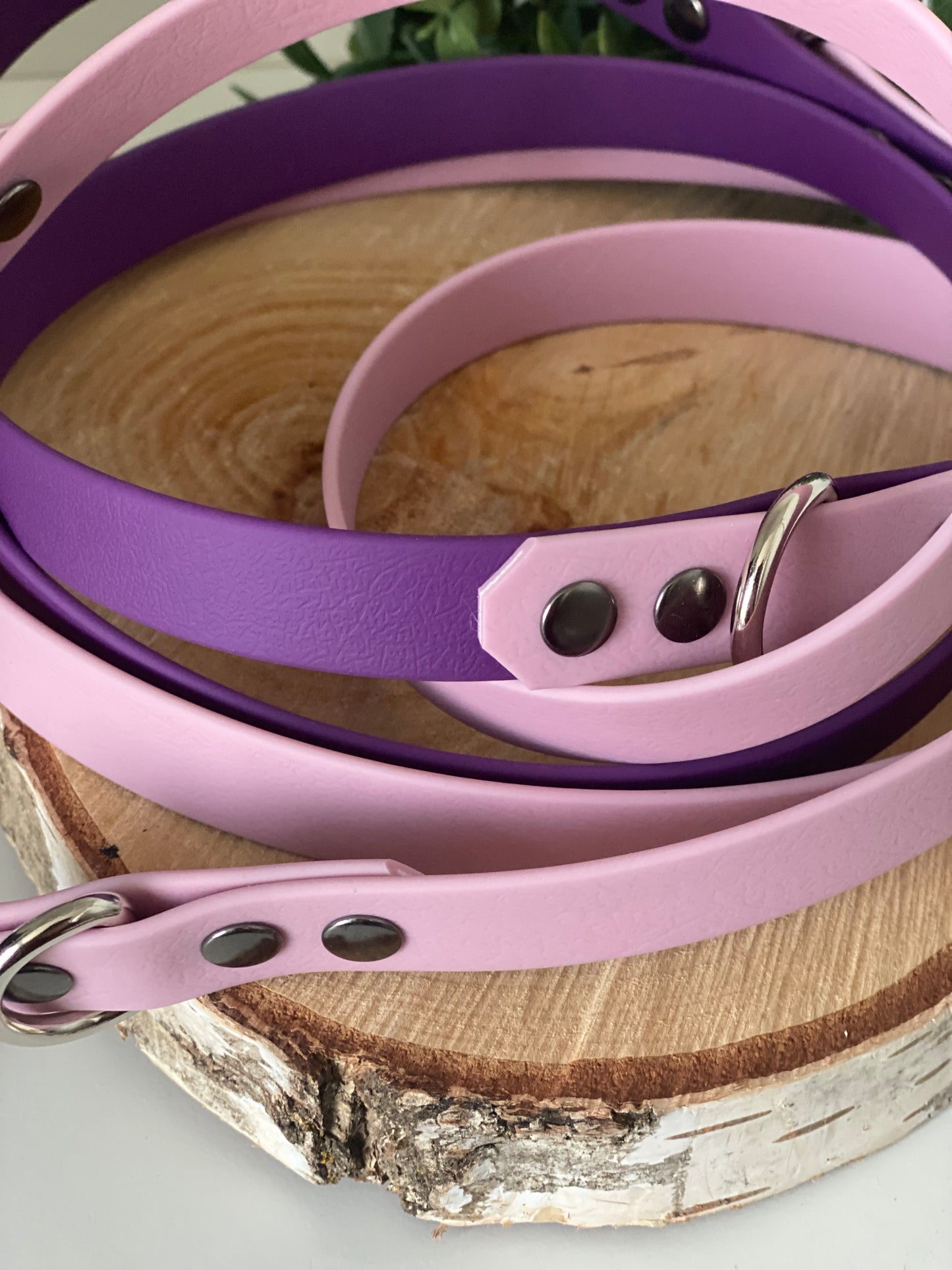 Laisse 3 positions unie couleur parme et violet