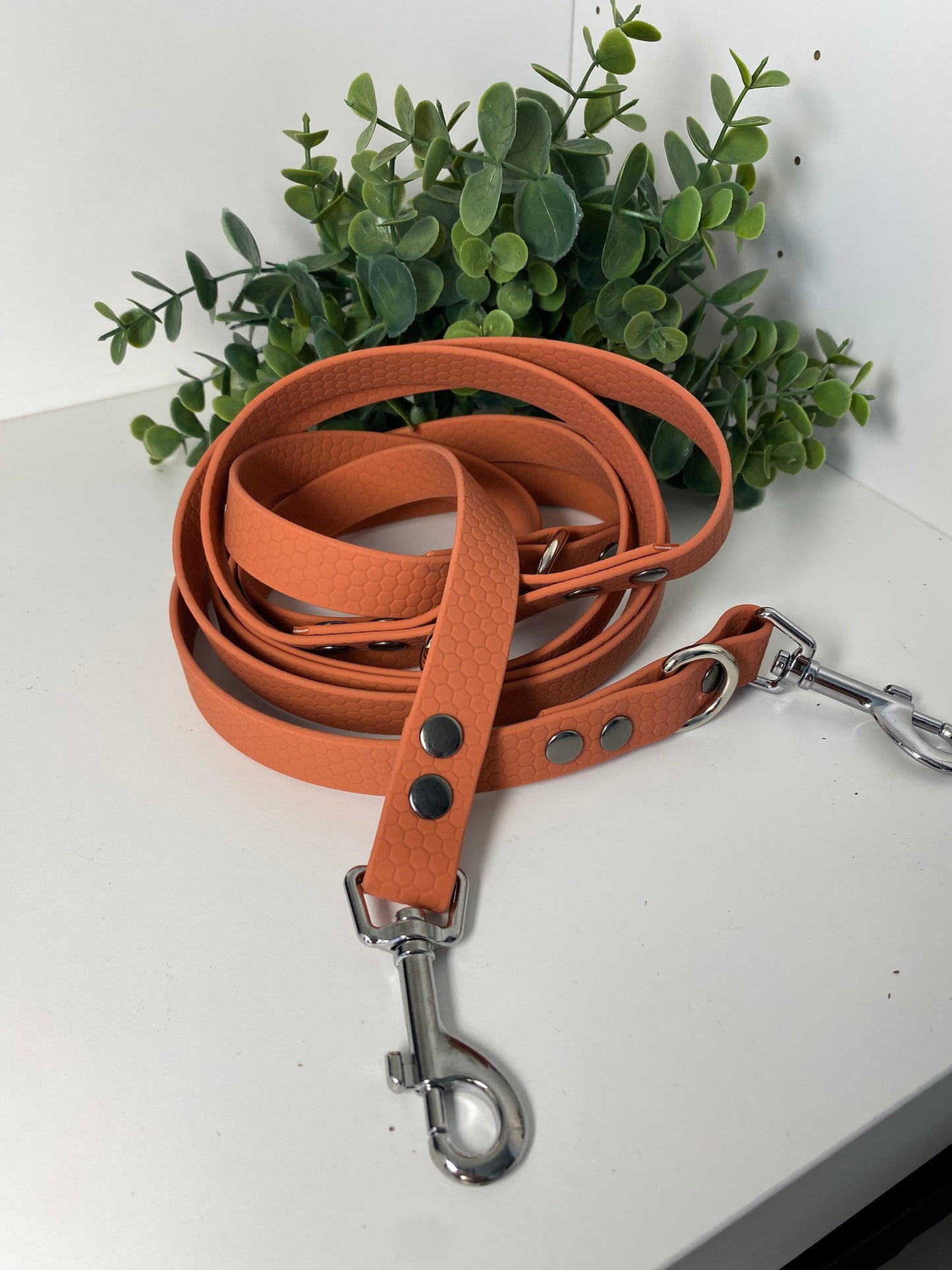 Laisse Mains Libres en Hexa Souple terracotta