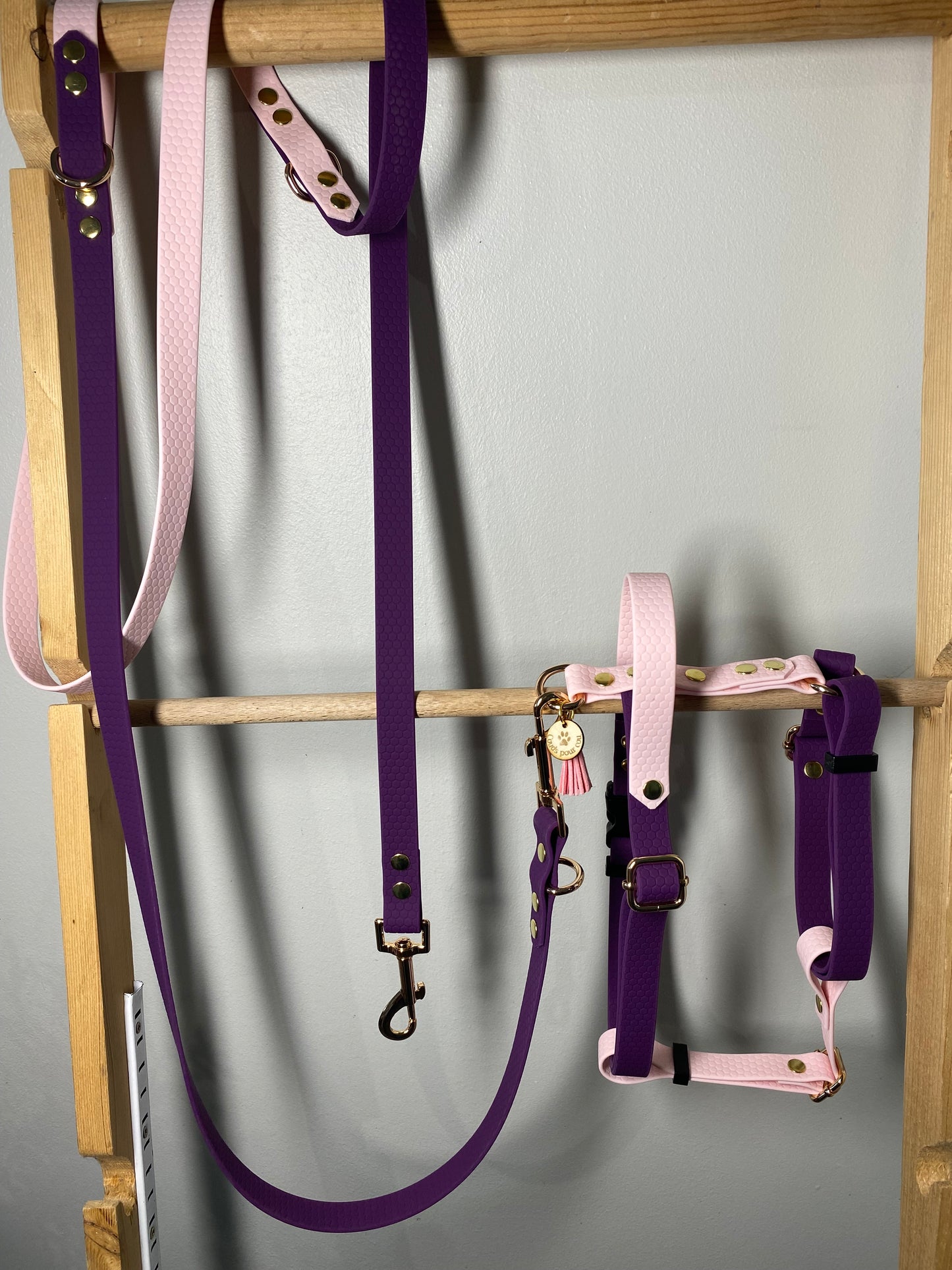 Harnais en H ajustable et imperméable pour chien - violet et rose