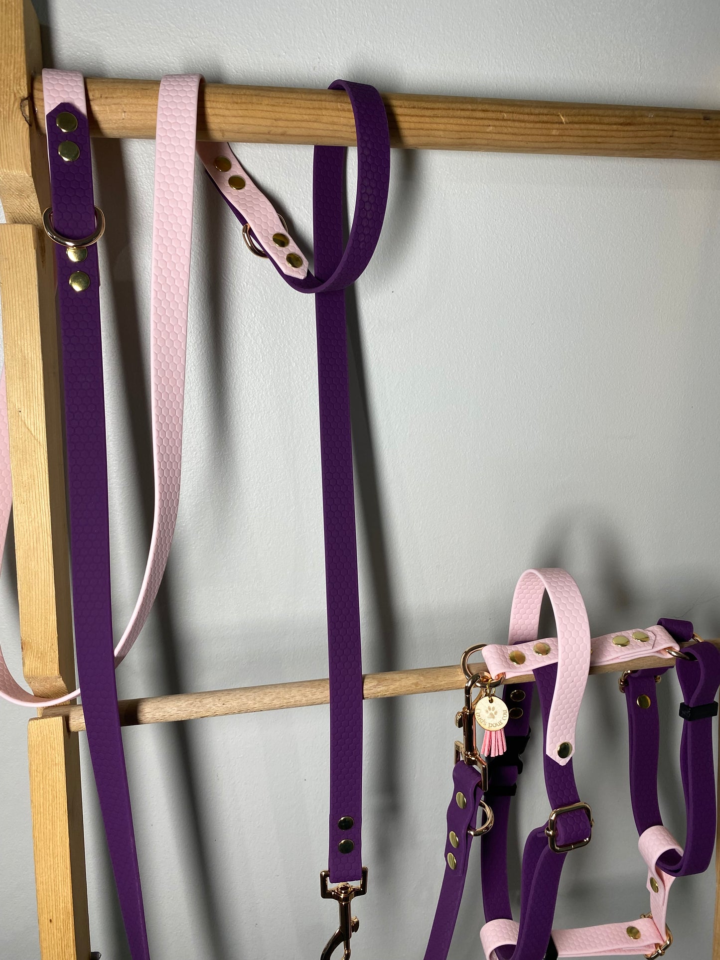 Laisse Mains Libres en Hexa Souple violet et rose