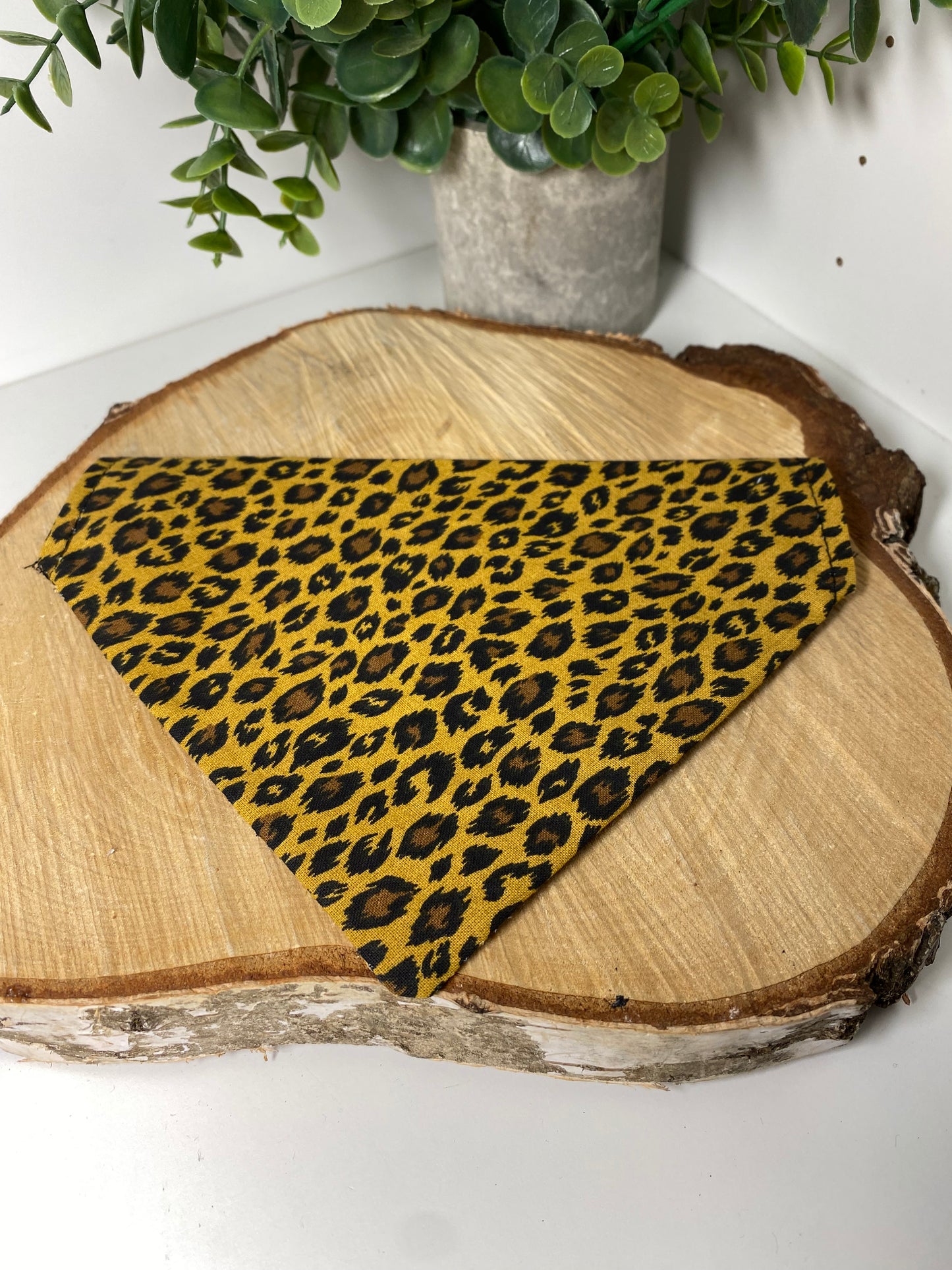 Le Bandana Parfait pour Votre Chien collection leopard