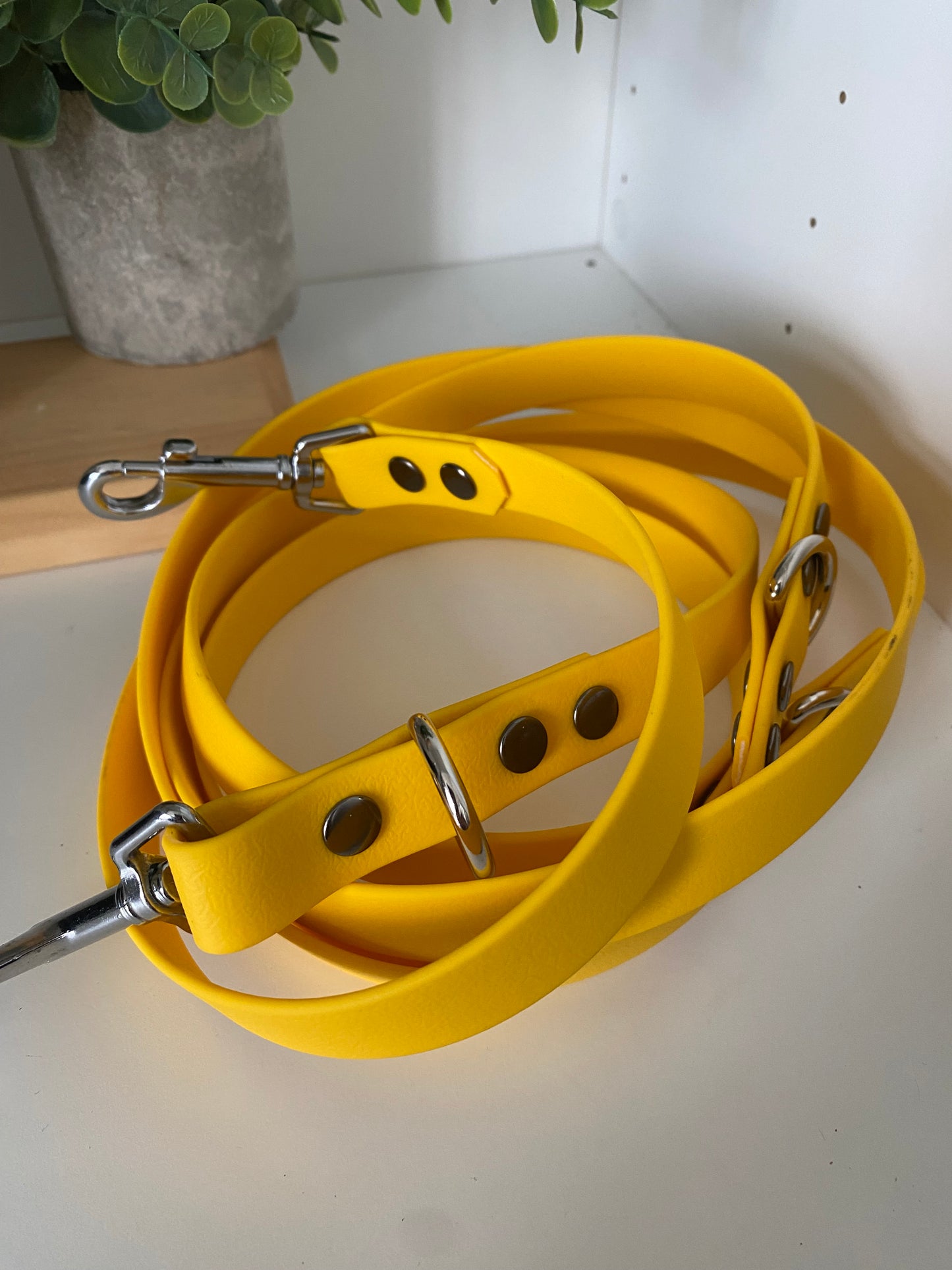 Colliers Réglables pour Chiens – jaune