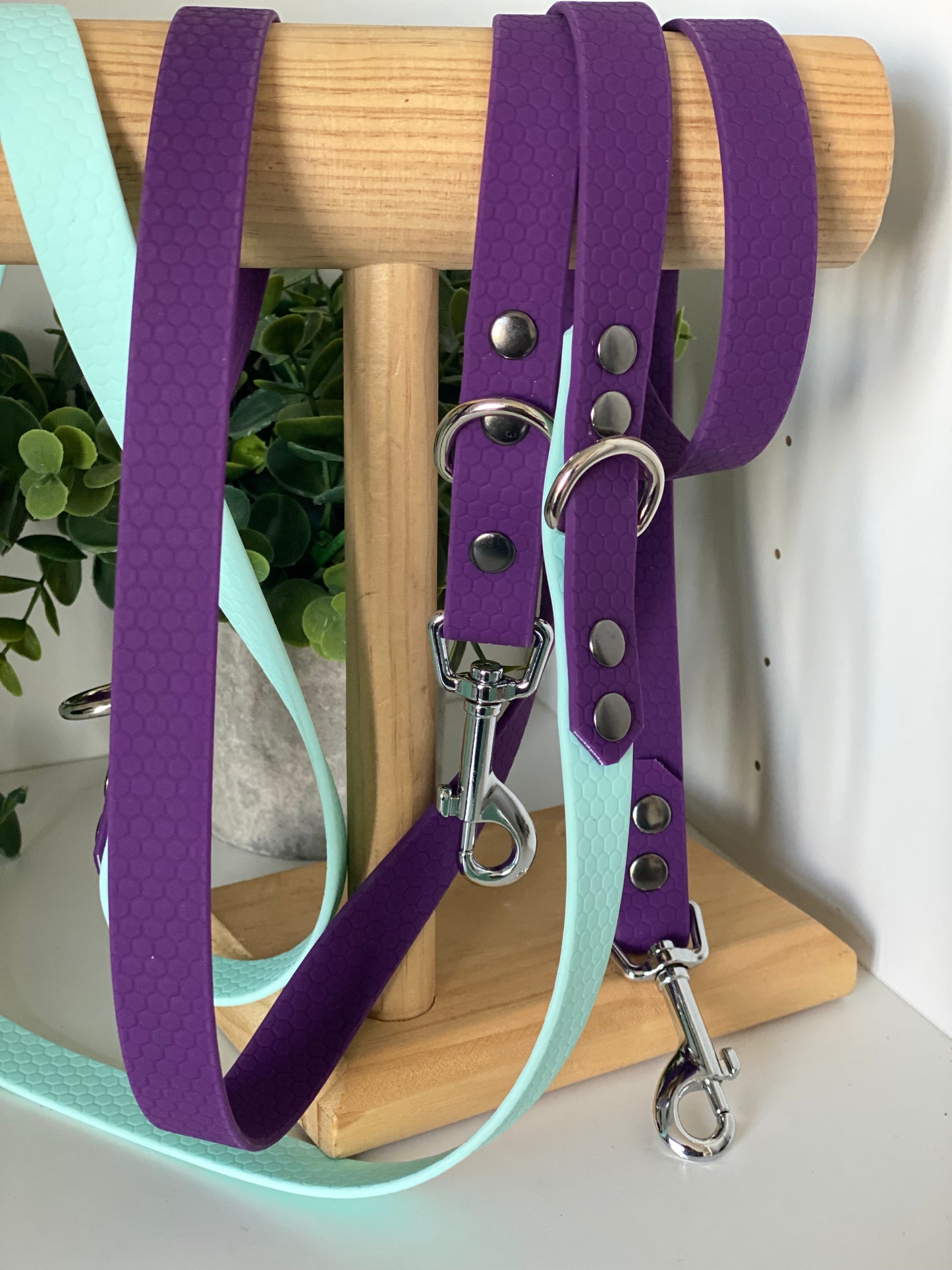 Laisse Mains Libres en Hexa Souple violet et bleu ciel