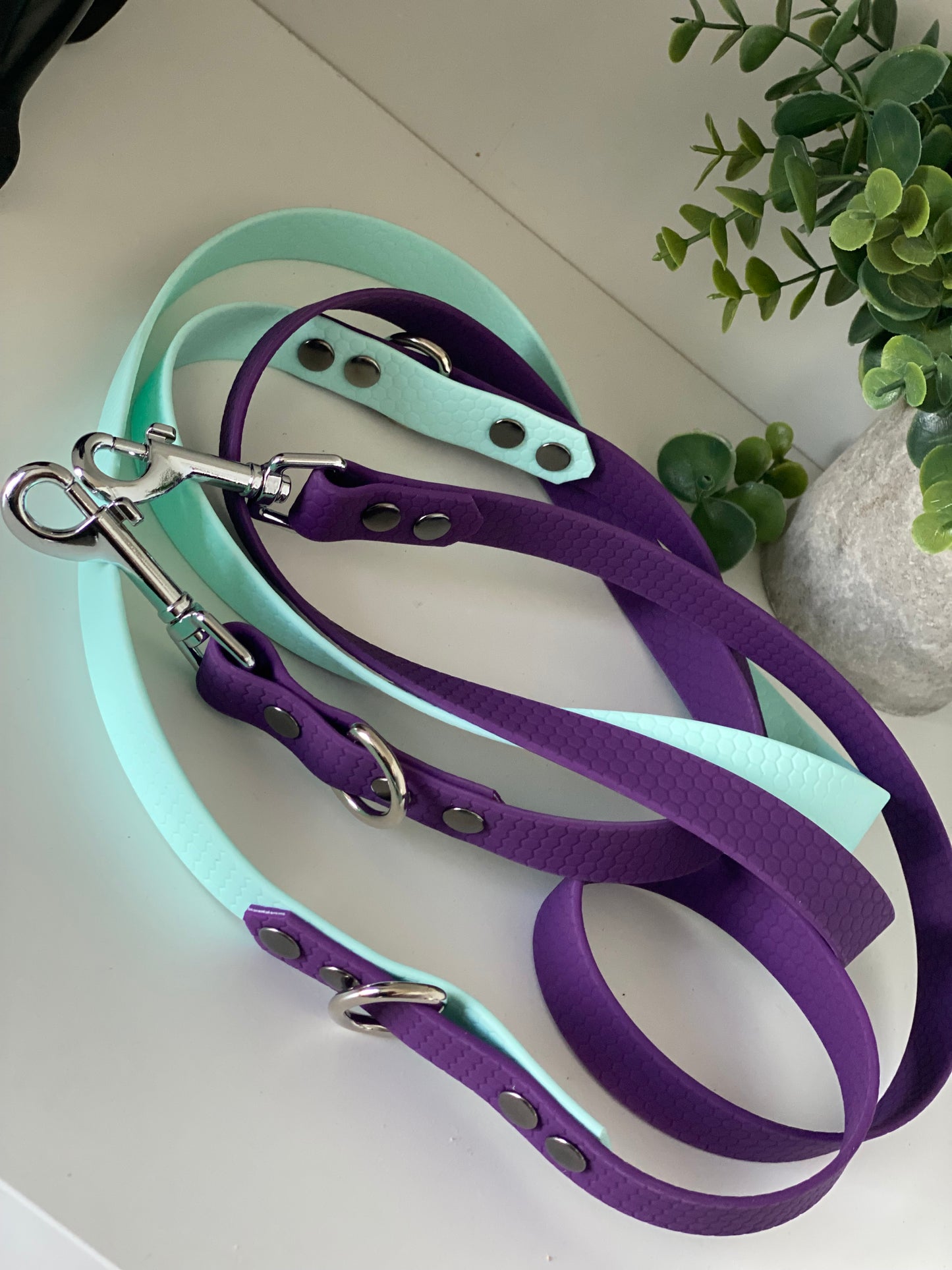 Laisse Mains Libres en Hexa Souple violet et bleu ciel