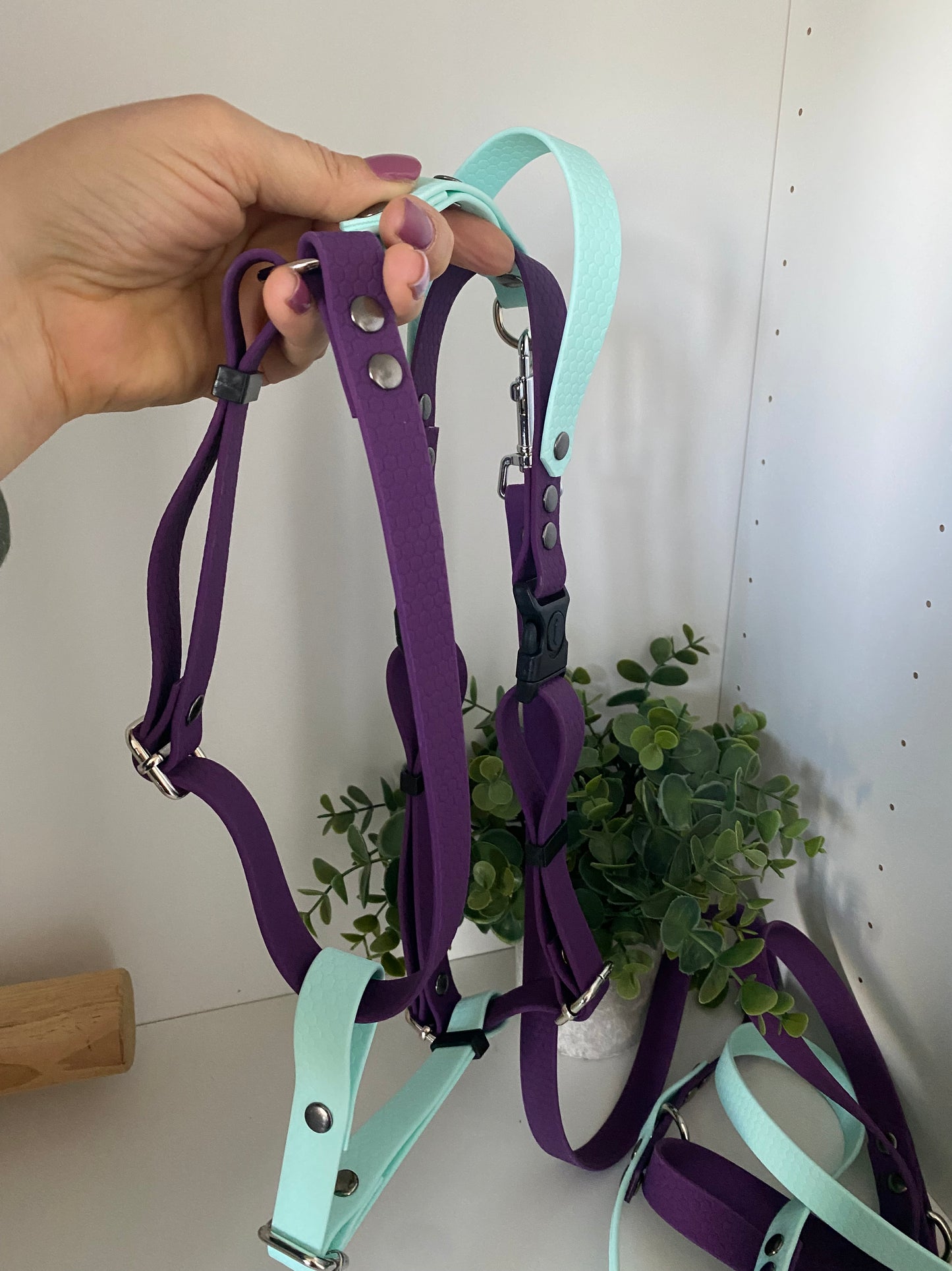 Harnais en H ajustable et imperméable pour chien - violet bleu ciel