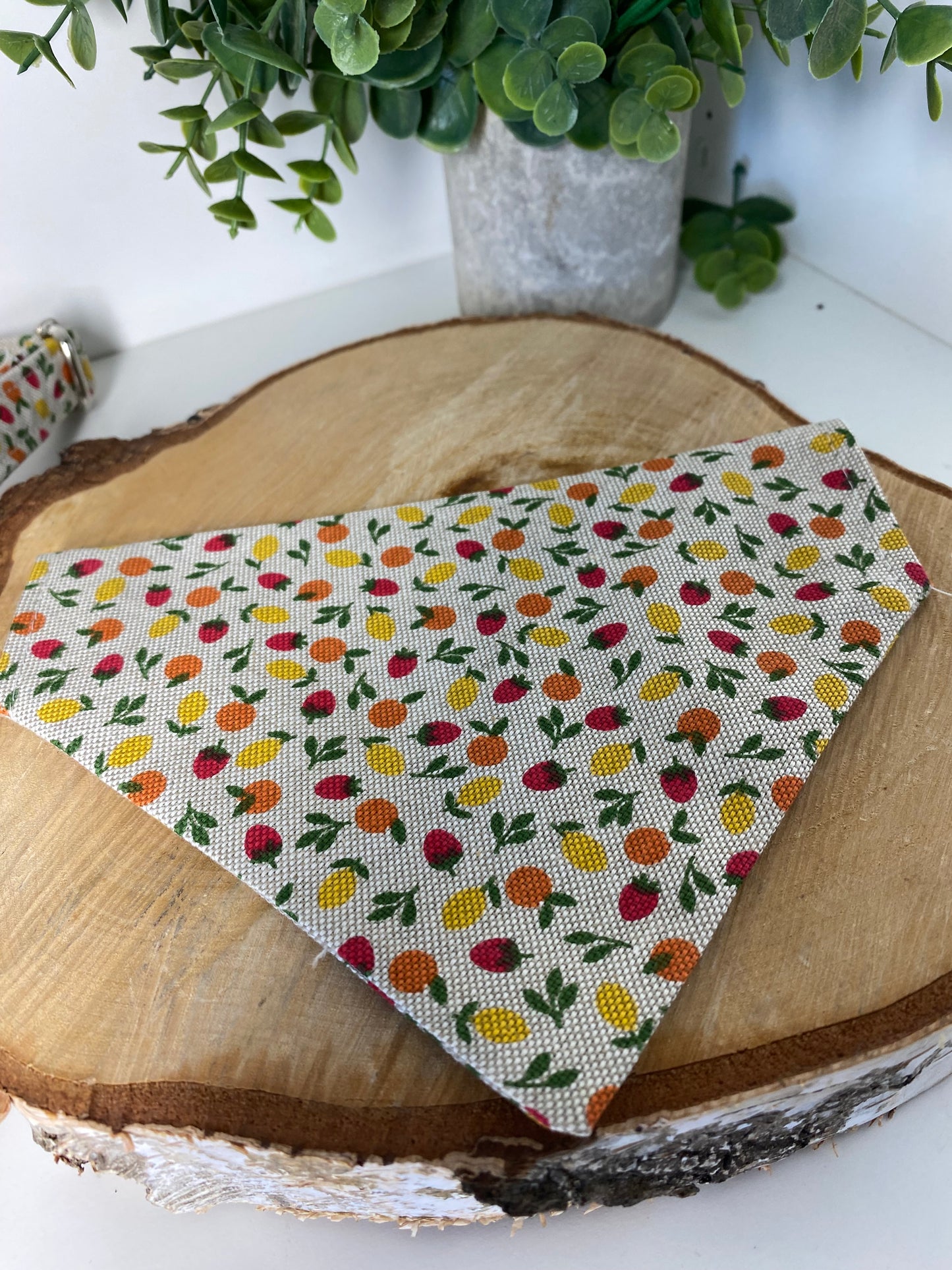 Le Bandana Parfait pour Votre Chien collection fruité