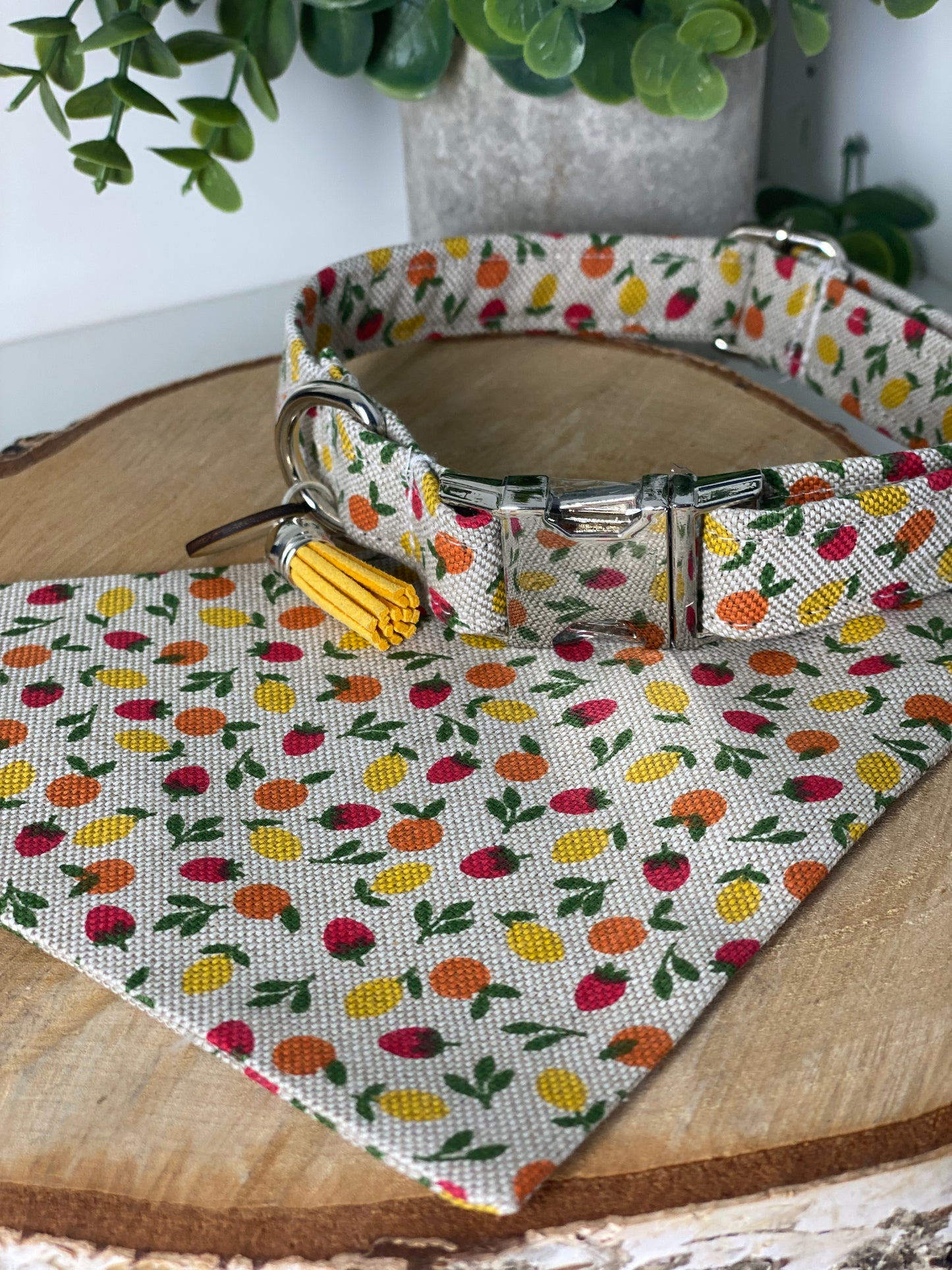Collier en tissu et sangle pour chien – Réglable et personnalisable collection fruité
