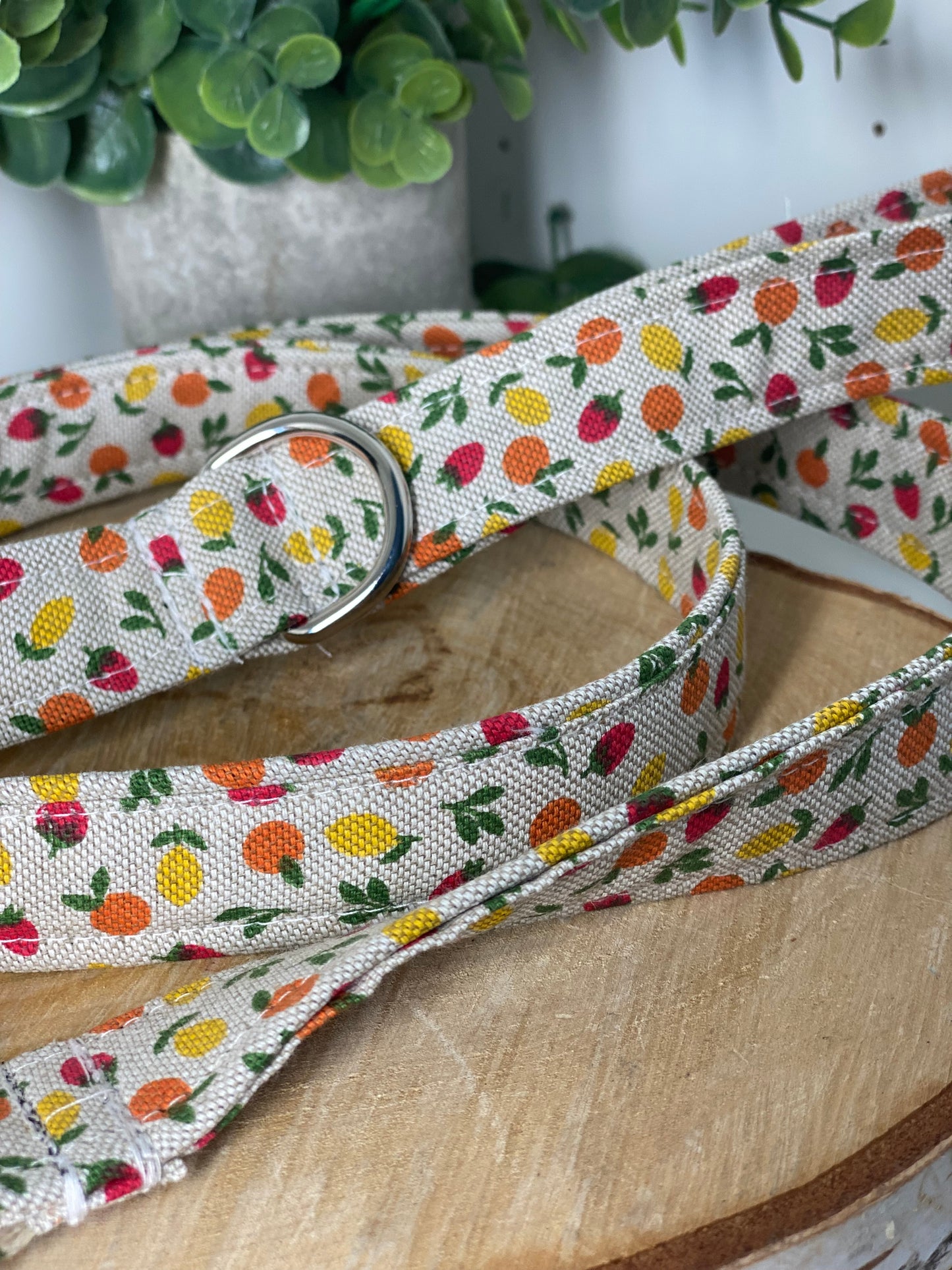 Laisse pour chien en tissu collection fruité