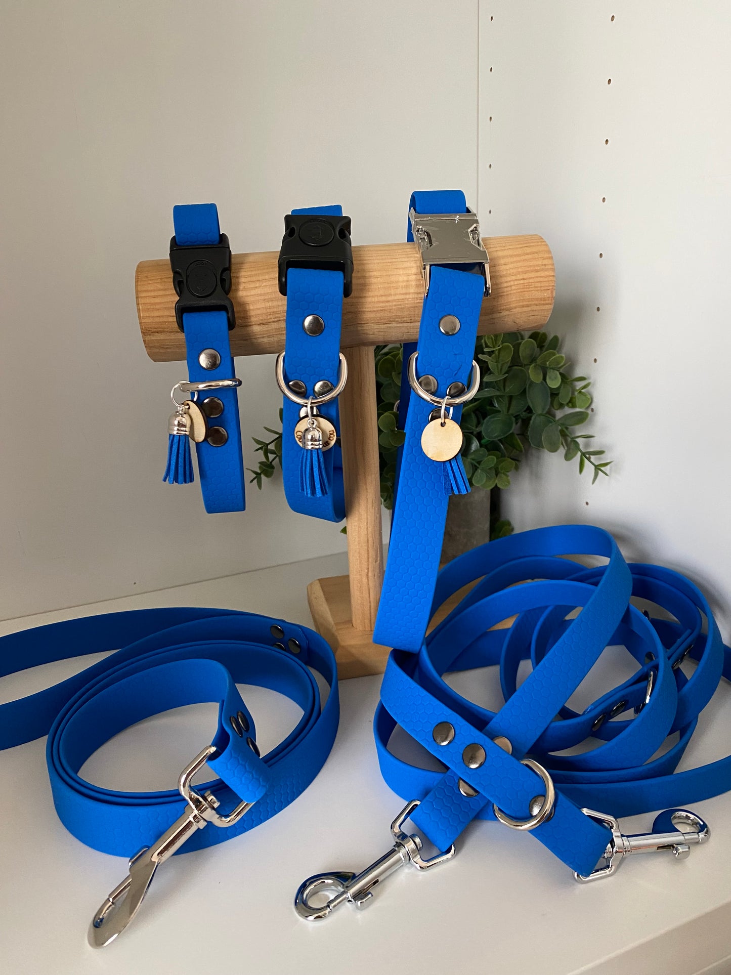 Colliers Réglables pour Chiens – sangle hexa electrique