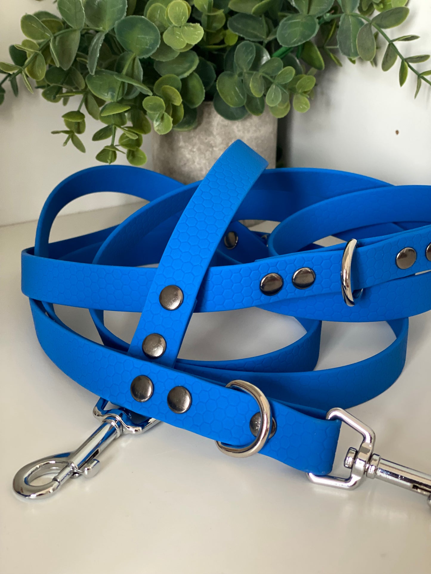 Colliers Réglables pour Chiens – sangle hexa electrique