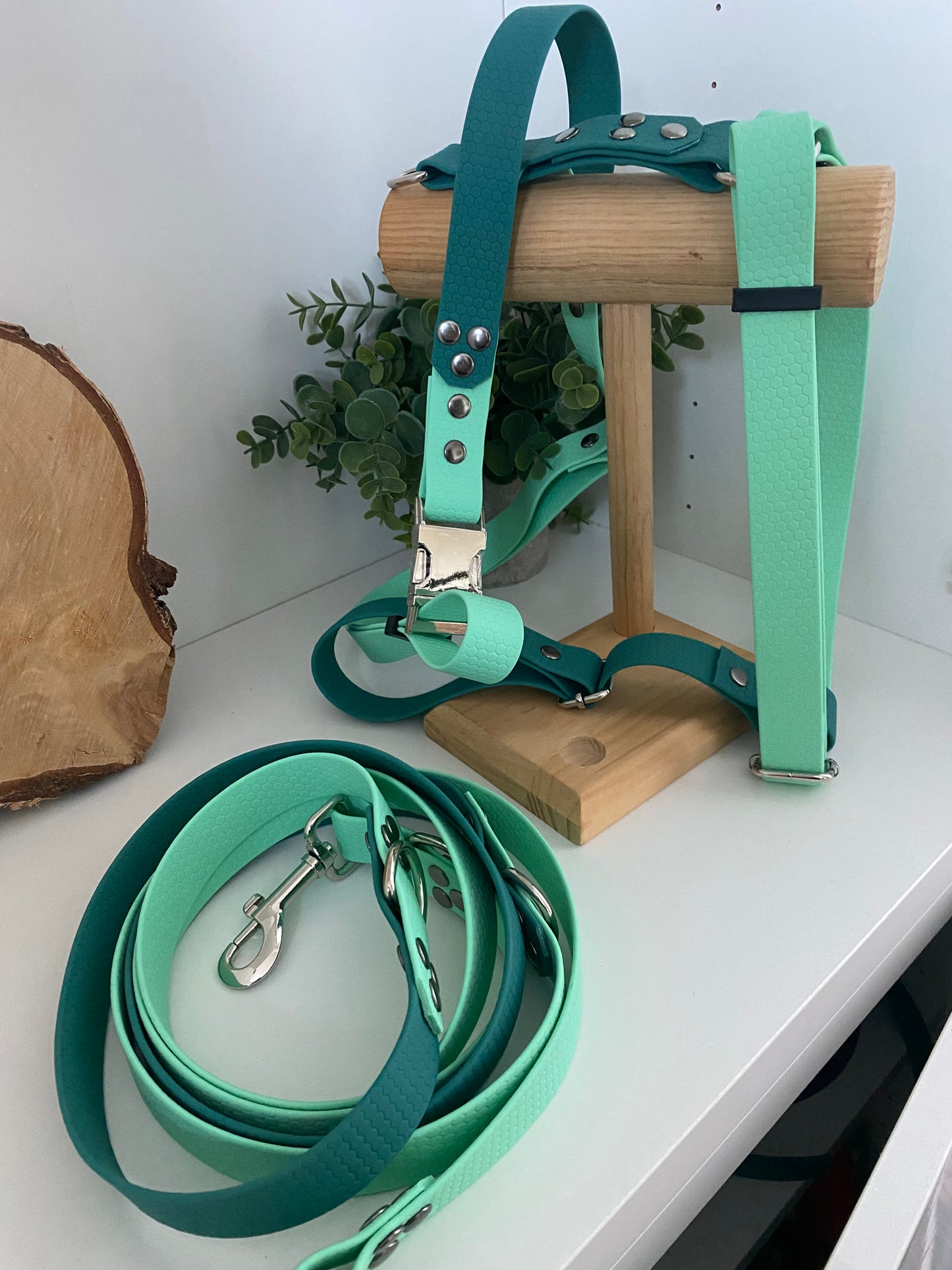Laisse Mains Libres en Hexa Souple vert et lagon