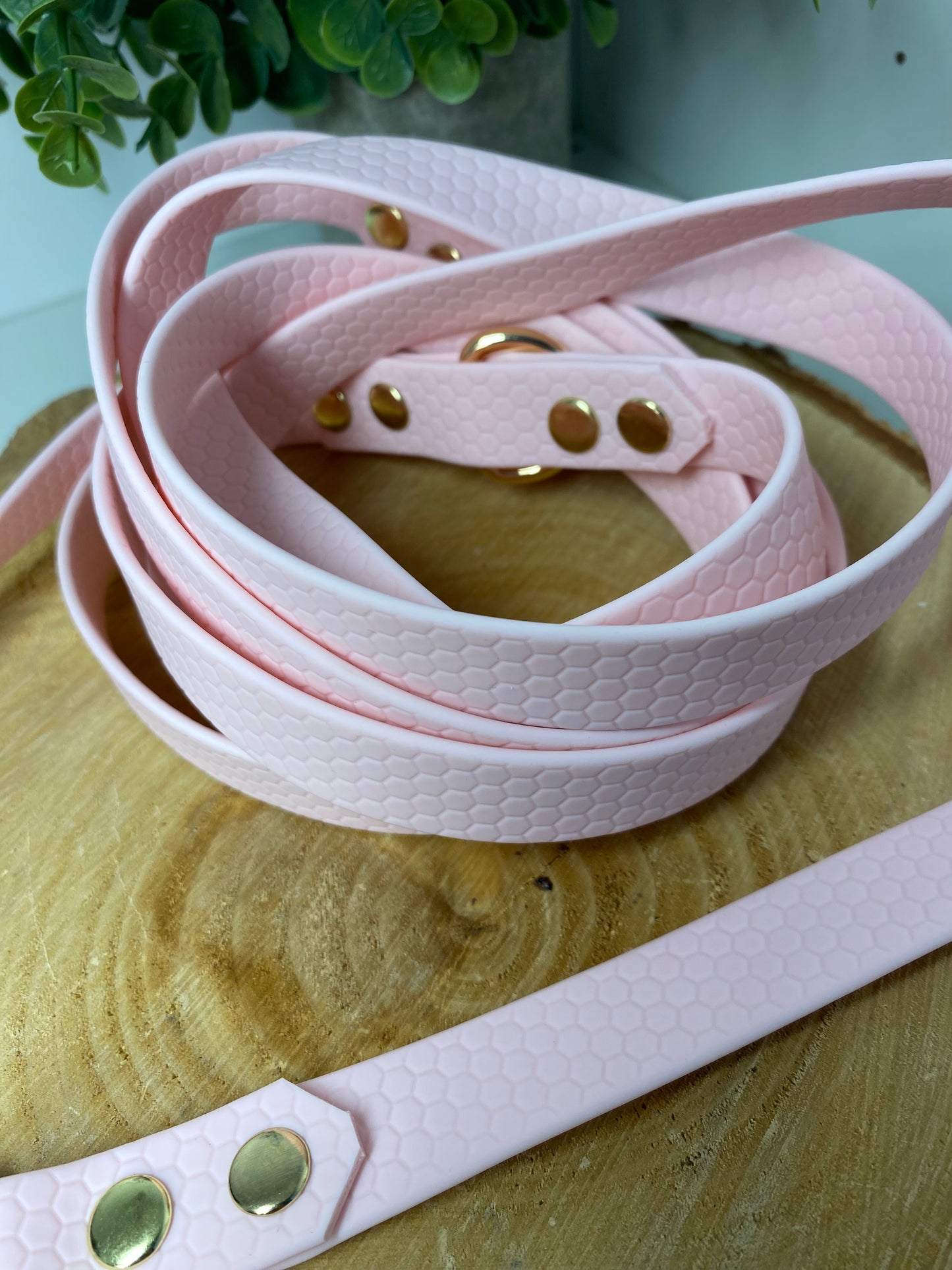 Colliers Réglables pour Chiens – sangle hexa couleur rose pale