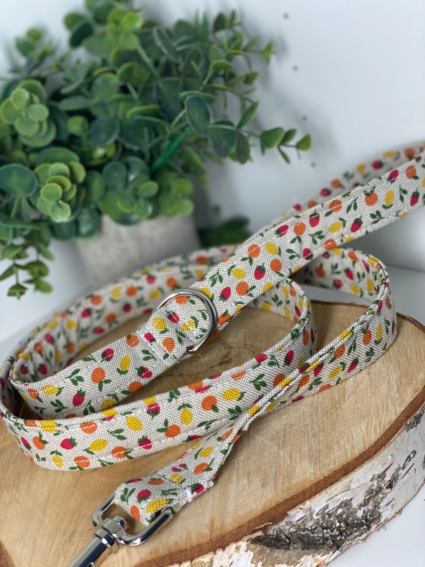 Laisse pour chien en tissu collection fruité