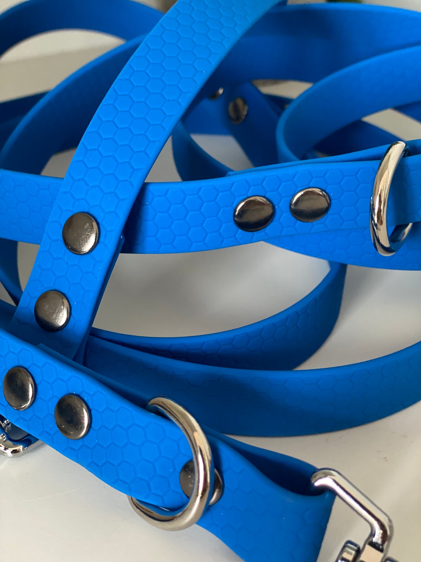 Colliers Réglables pour Chiens – sangle hexa electrique