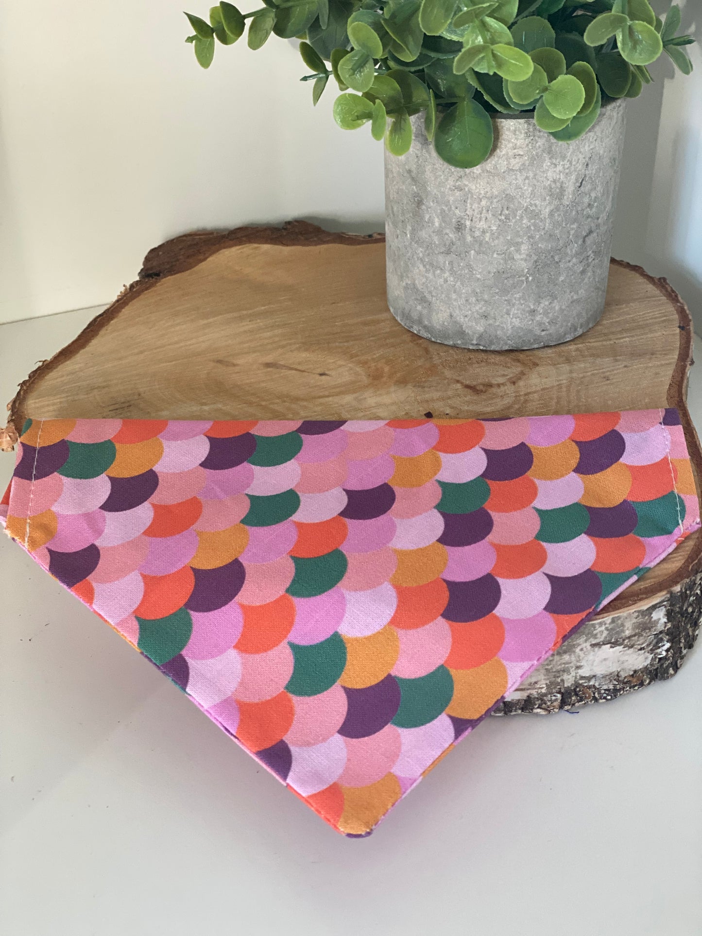 Le Bandana Parfait pour Votre Chien collection pimpante