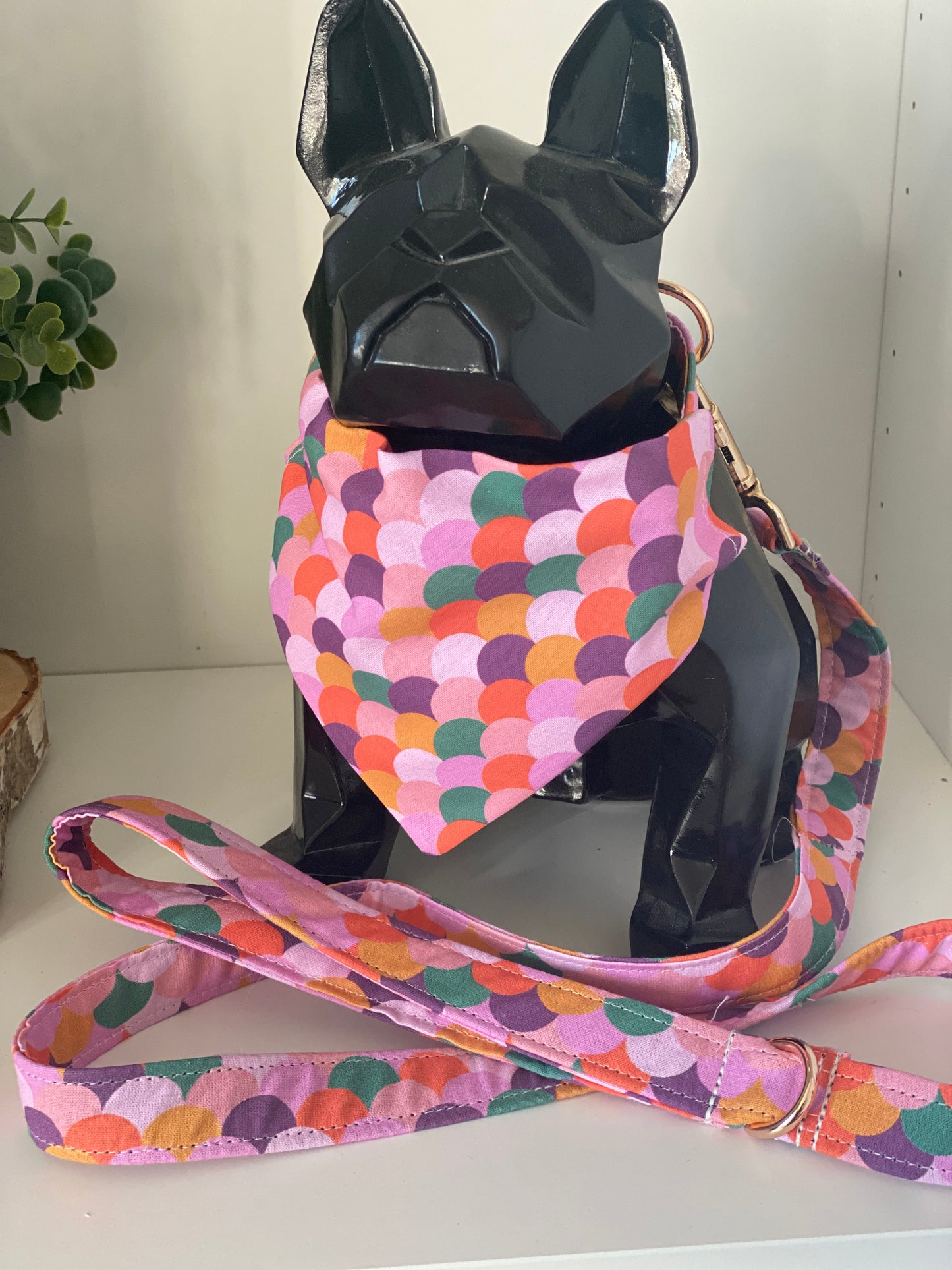 Collier en tissu et sangle pour chien – Réglable et personnalisable collection pimpante
