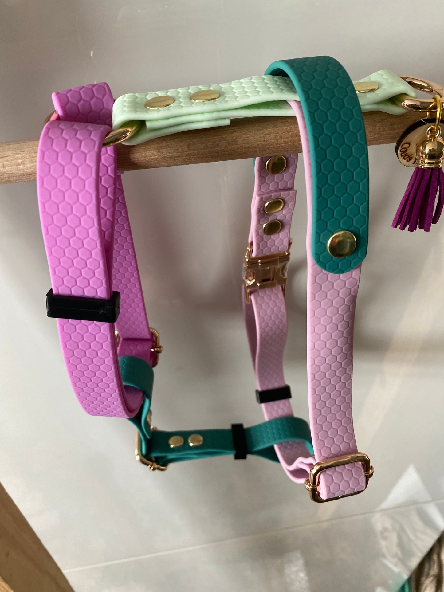 Harnais en H ajustable et imperméable pour chien - multi couleurs pastels