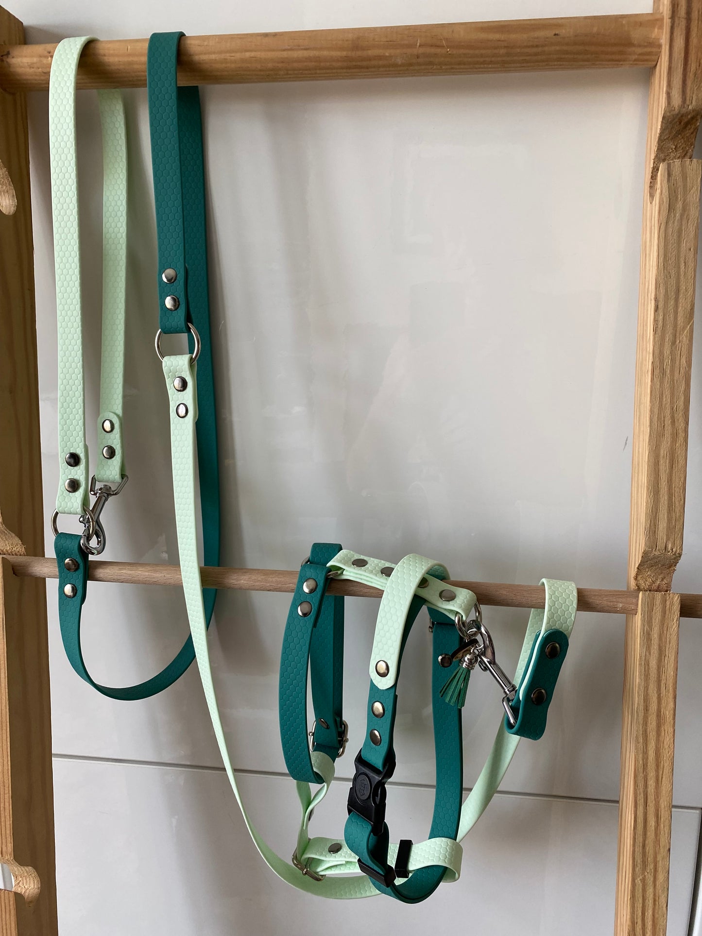 Harnais en H ajustable et imperméable pour chien - vert et vert pale