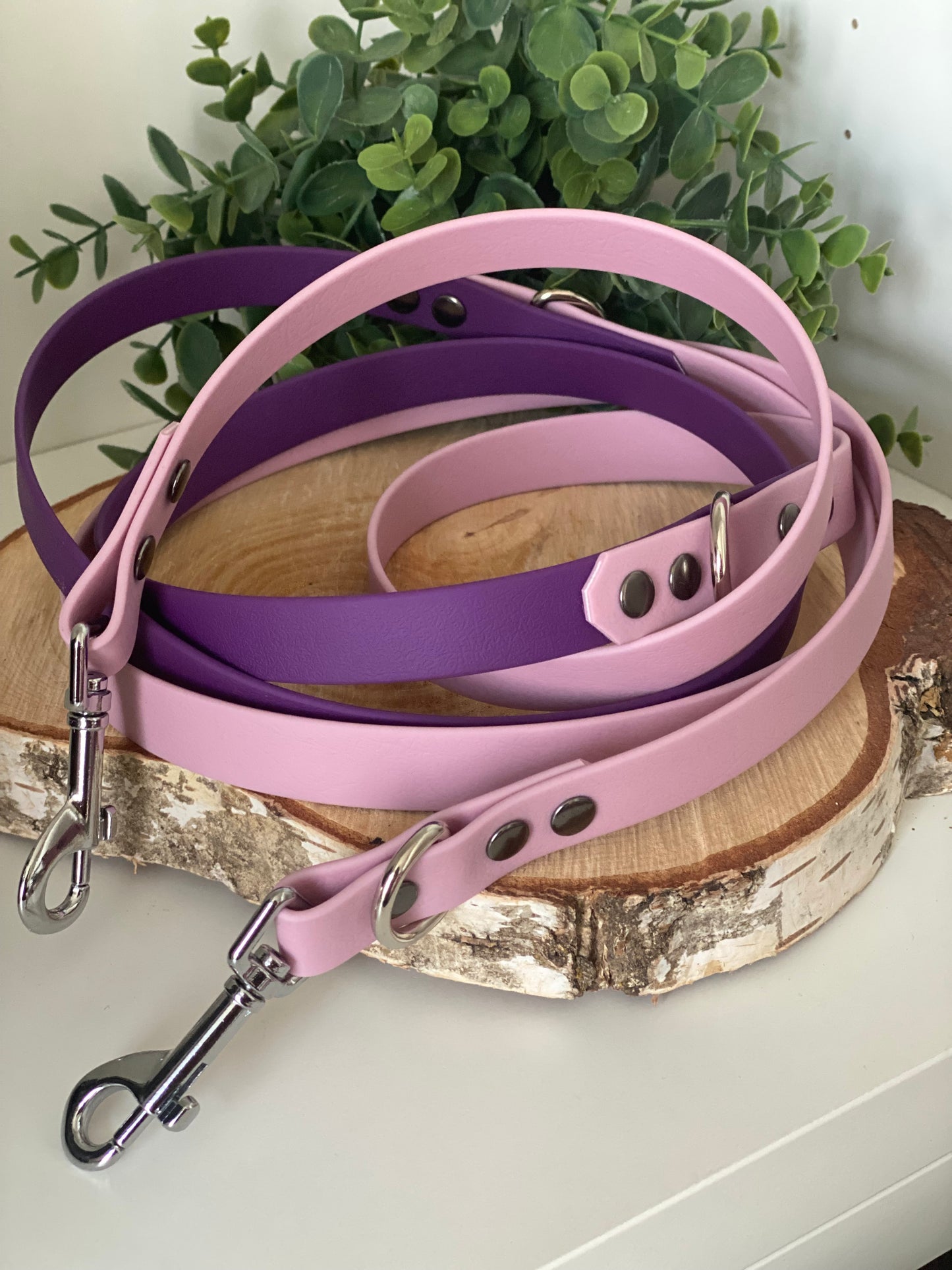 Laisse 3 positions unie couleur parme et violet