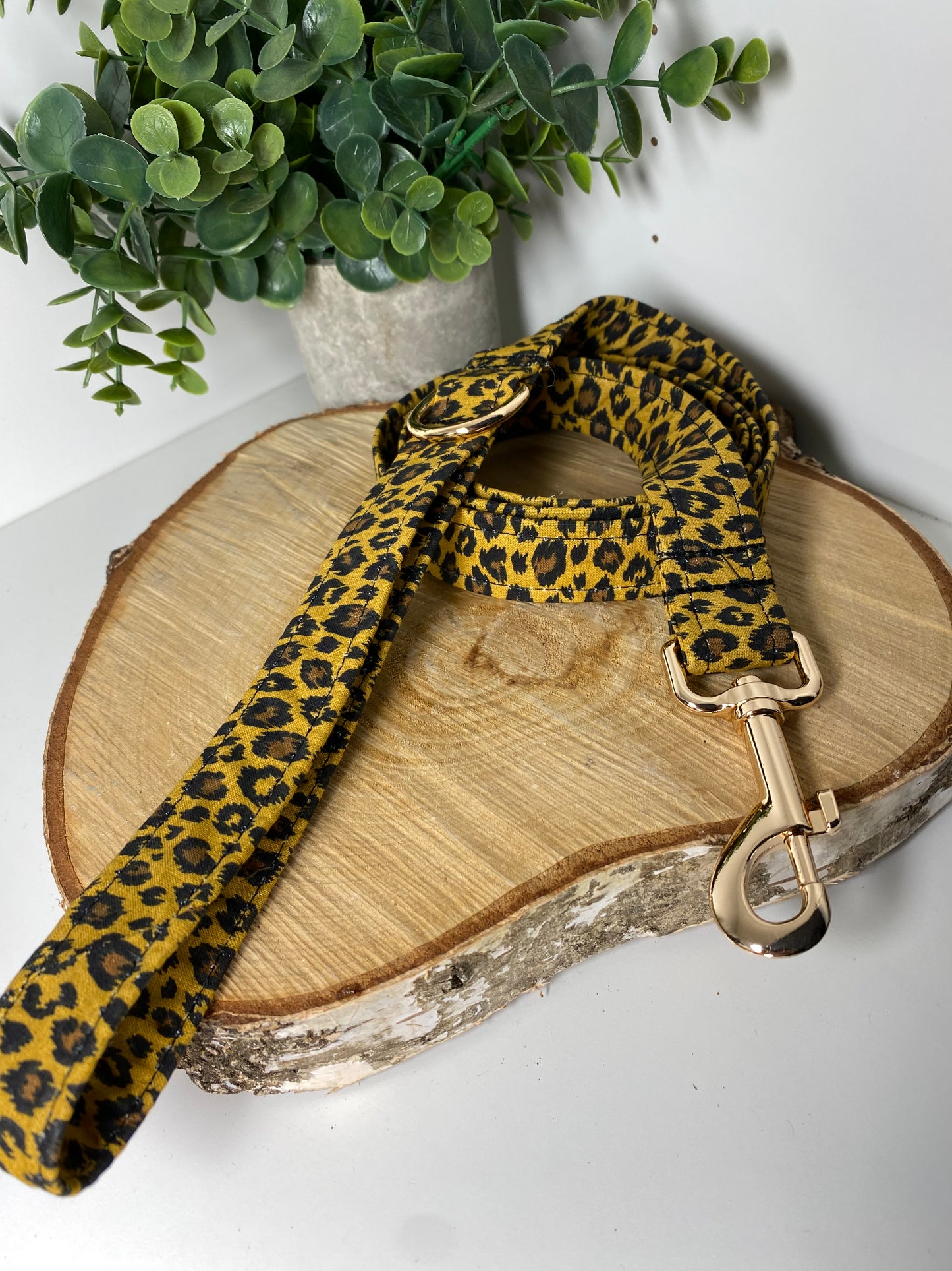 Laisse pour chien en tissu collection leopard