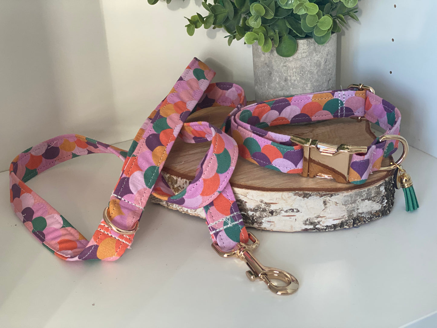 Collier en tissu et sangle pour chien – Réglable et personnalisable collection pimpante
