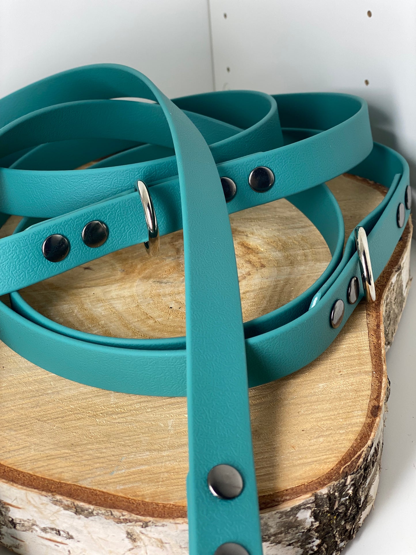Laisse 3 positions unie couleur verte
