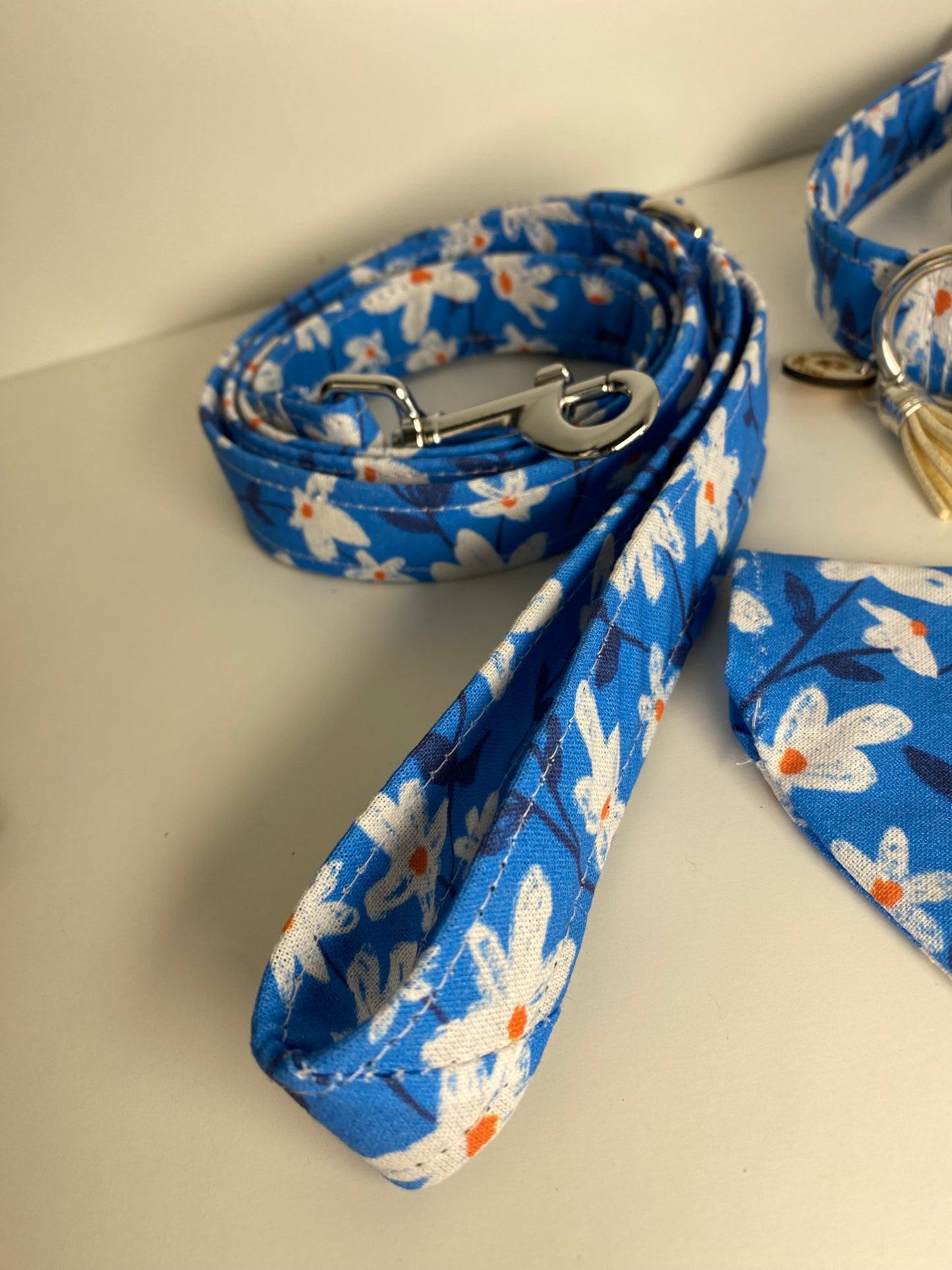 Laisse pour chien en tissu collection fleurs peintes