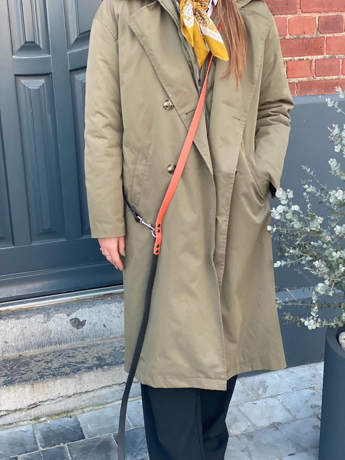 Tout savoir sur la laisse 3 points : l’accessoire indispensable pour vos balades