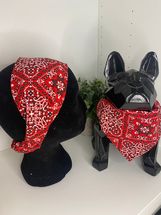Bandeau assorti – Matchy Matchy humain & chien ou chat bandana