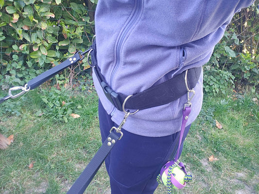 Ceinture de marche