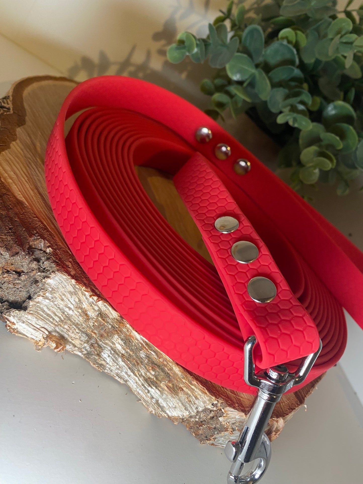 Longe Hexa 2 cm couleur aux choix