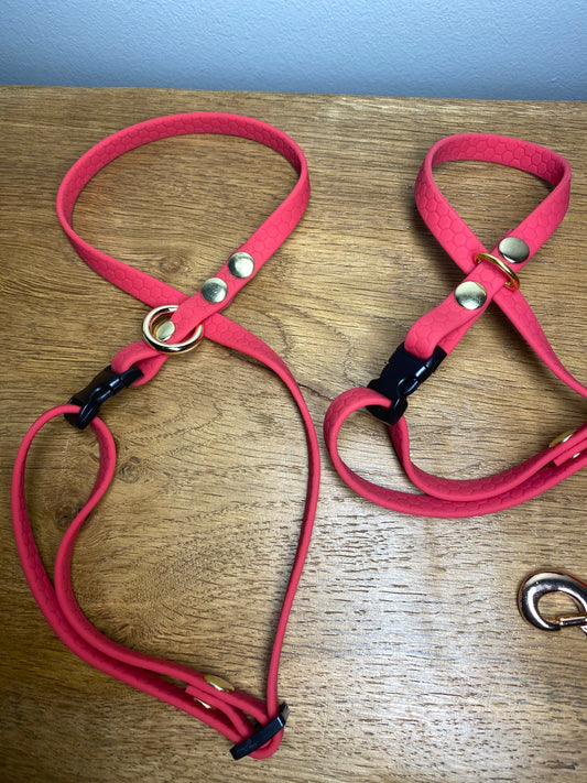 Harnais en Sangle Hexa Colorée pour chat et chien - Forme Infini en 8 - rose magenta